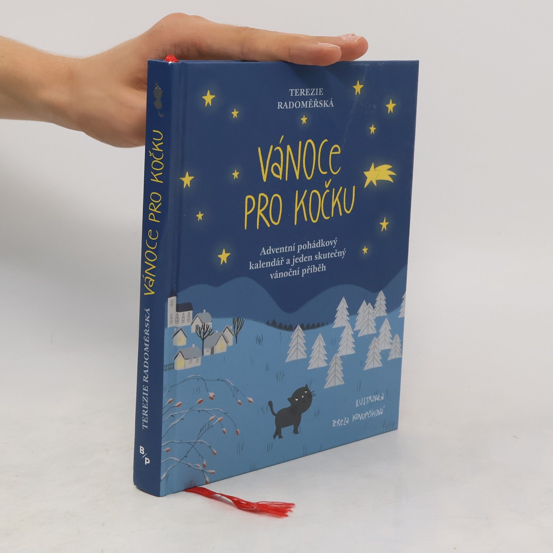 Terezie Radoměřská Vánoce pro kočku
