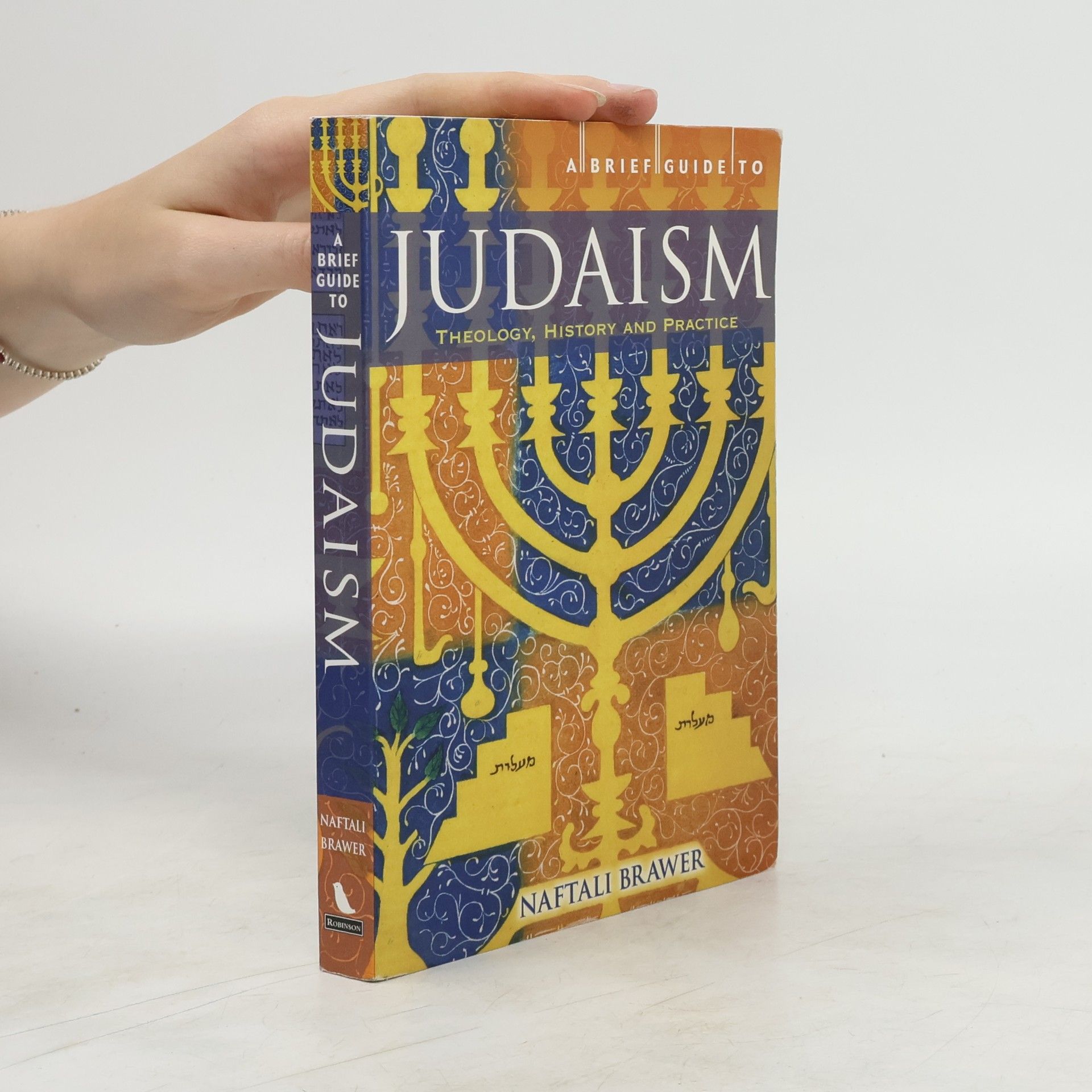 Naftali Brawer A Brief Guide to Judaism
