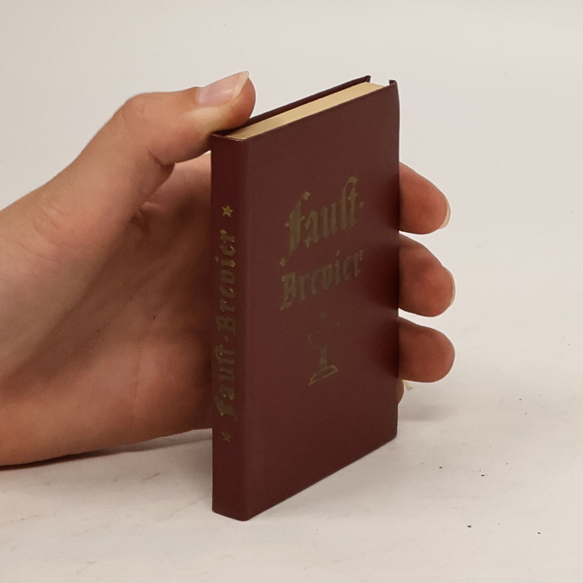 Johann Wolfgang von Goethe Faust-Brevier