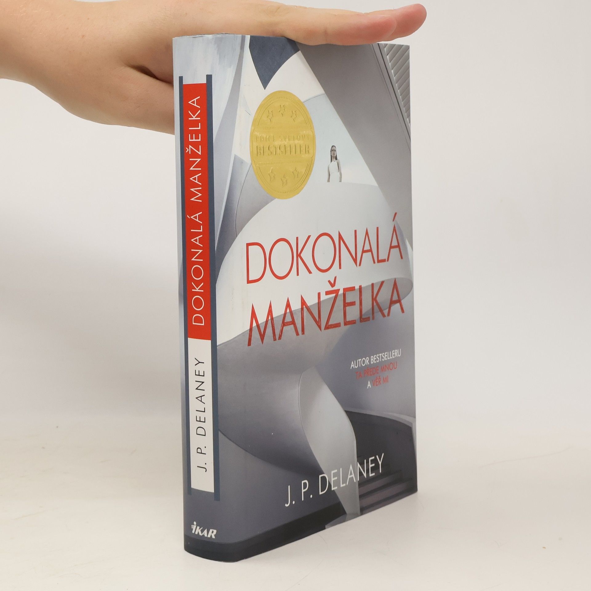 J. P. Delaney Dokonalá manželka