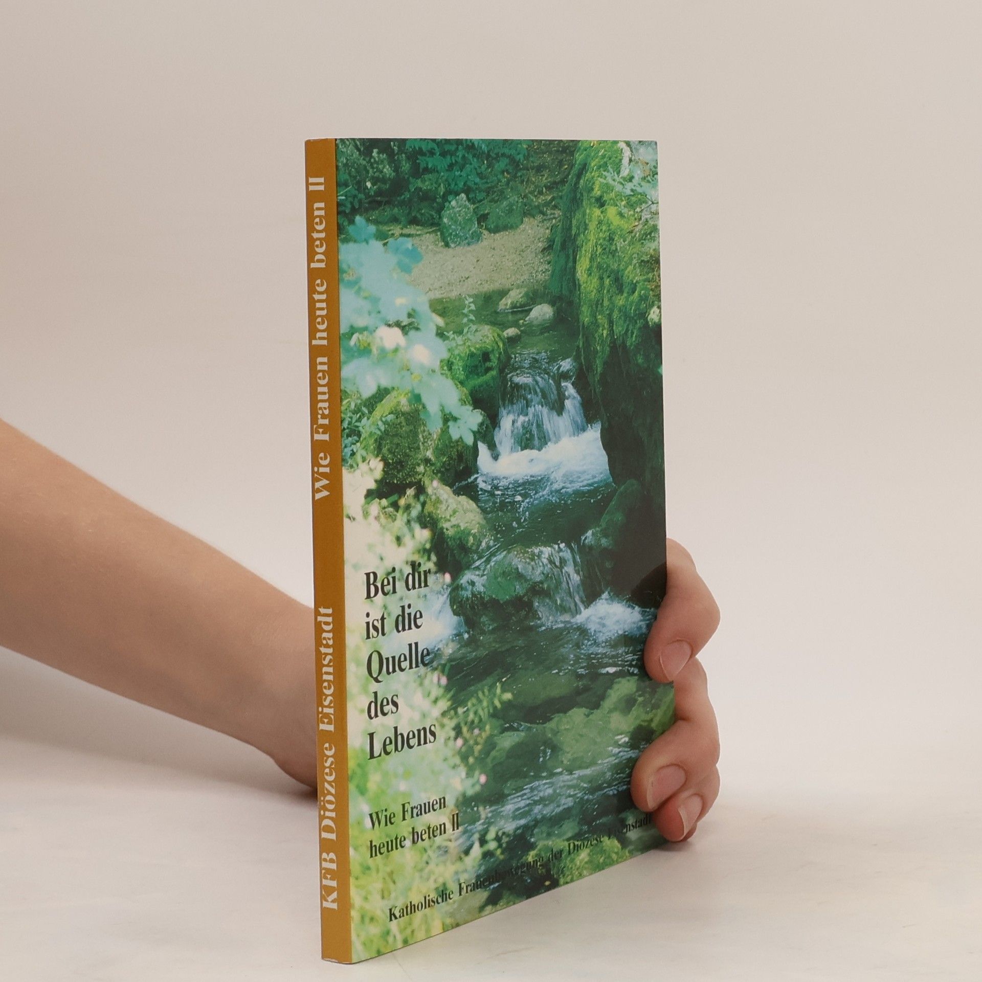 Collectif d'auteurs Bei dir ist die Quelle des Lebens