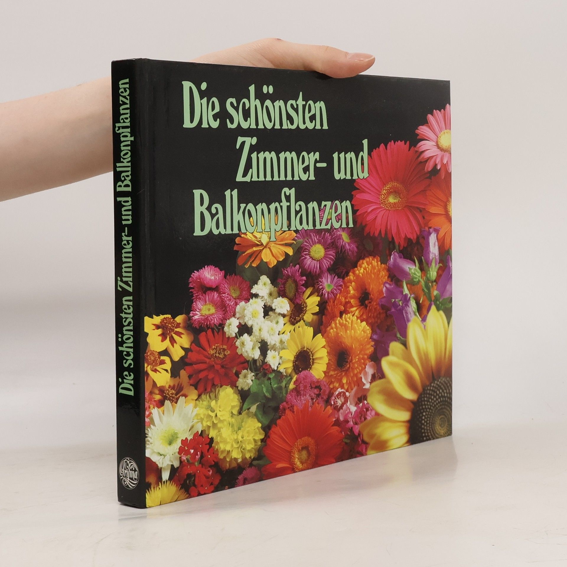 Allan Moin  Die schönsten Zimmer und Balkonpflanzen