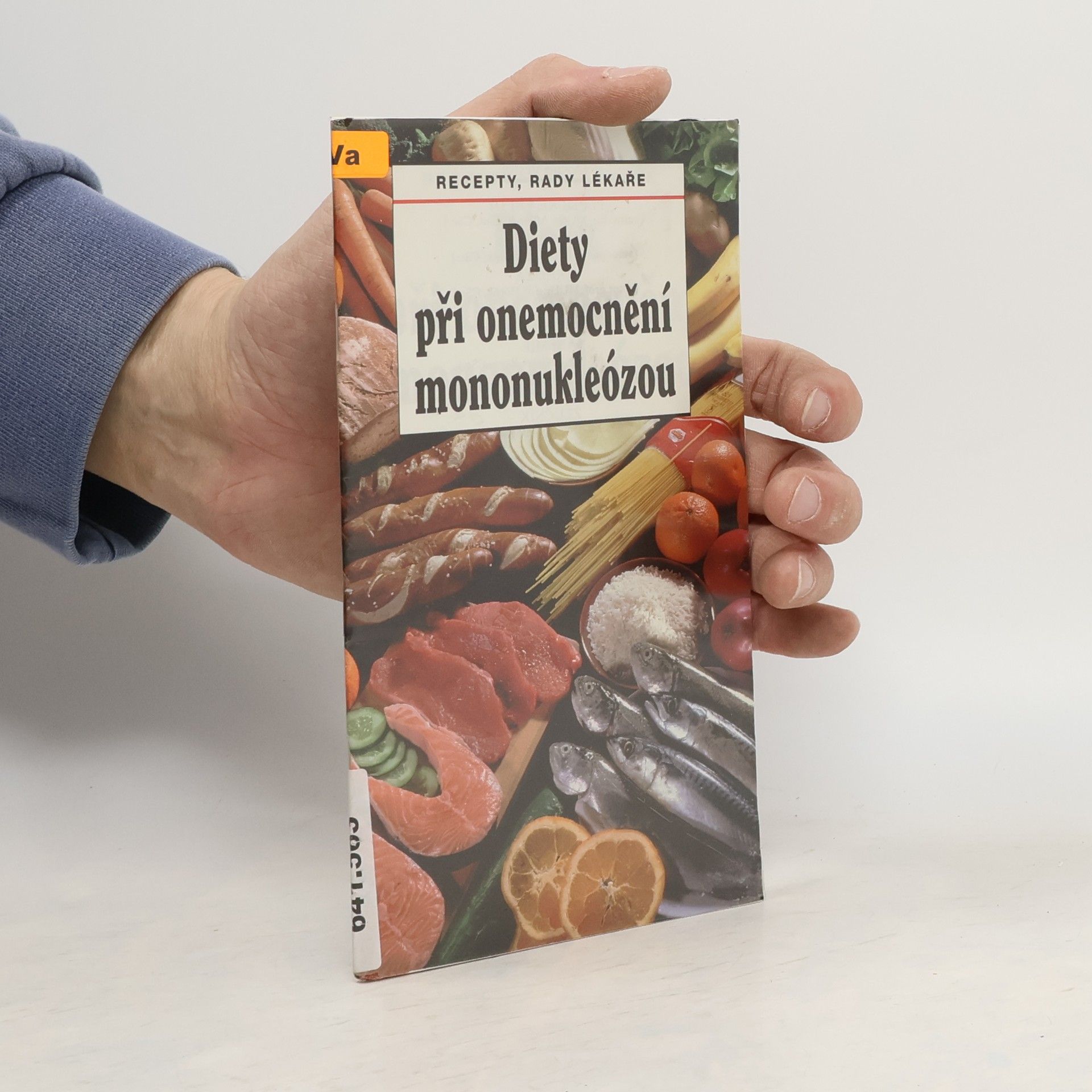 Jiří Vaništa Diety při onemocnění mononukleózou : recepty, rady lékaře