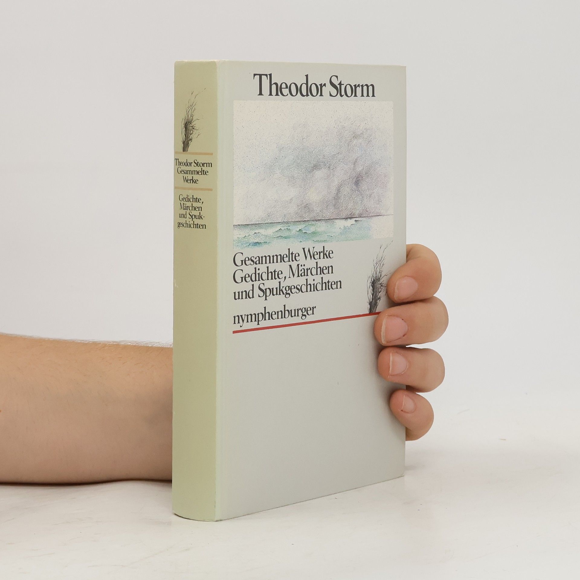 Hans Theodor Woldsen Storm Gesammelte Werke. Gedichte, Märchen und Spukgeschichten
