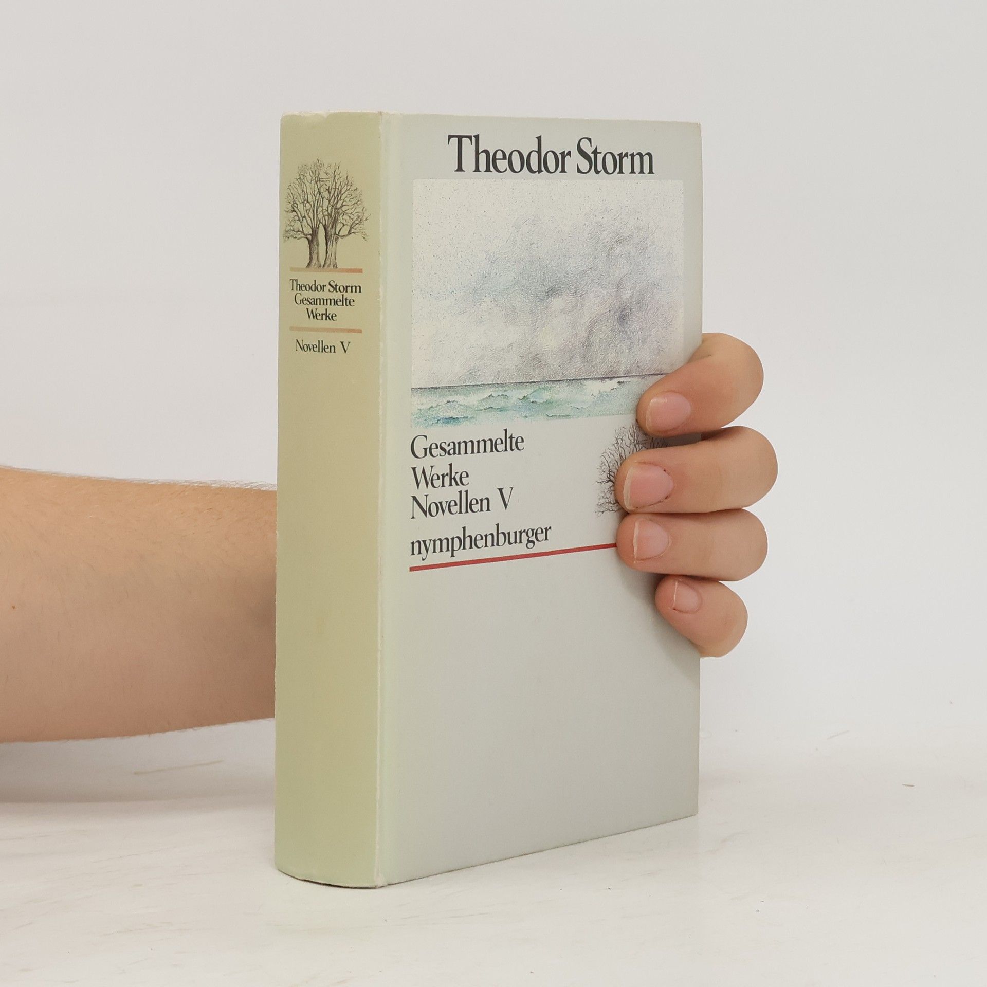 Theodor Storm Gesammelte Werke. Novellen V