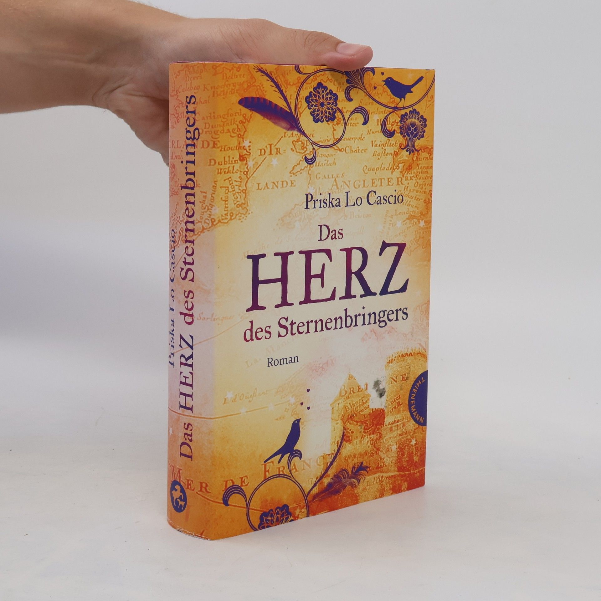 Priska Lo Cascio Das Herz des Sternenbringers