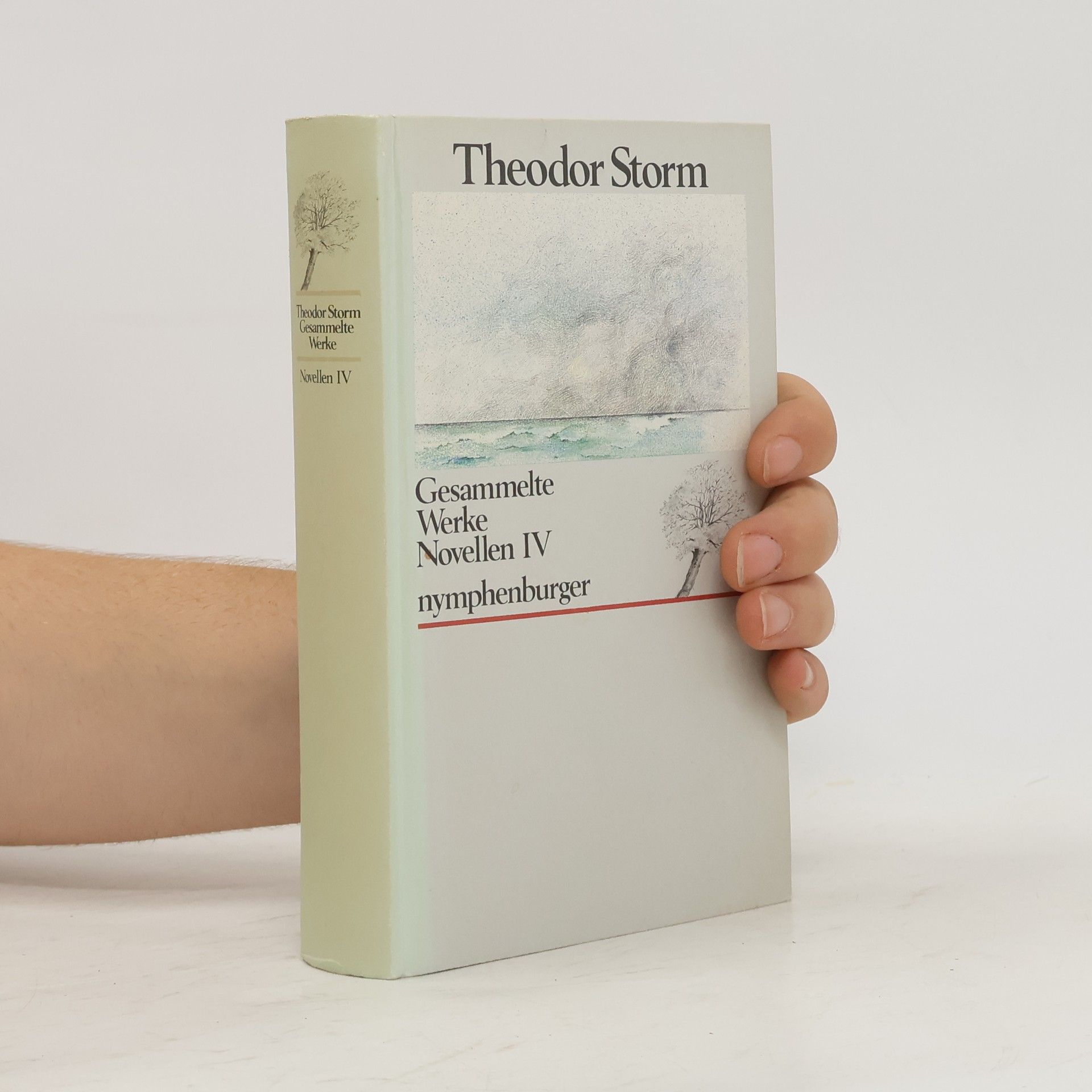 Hans Theodor Woldsen Storm Gesammelte Werke Novellen IV