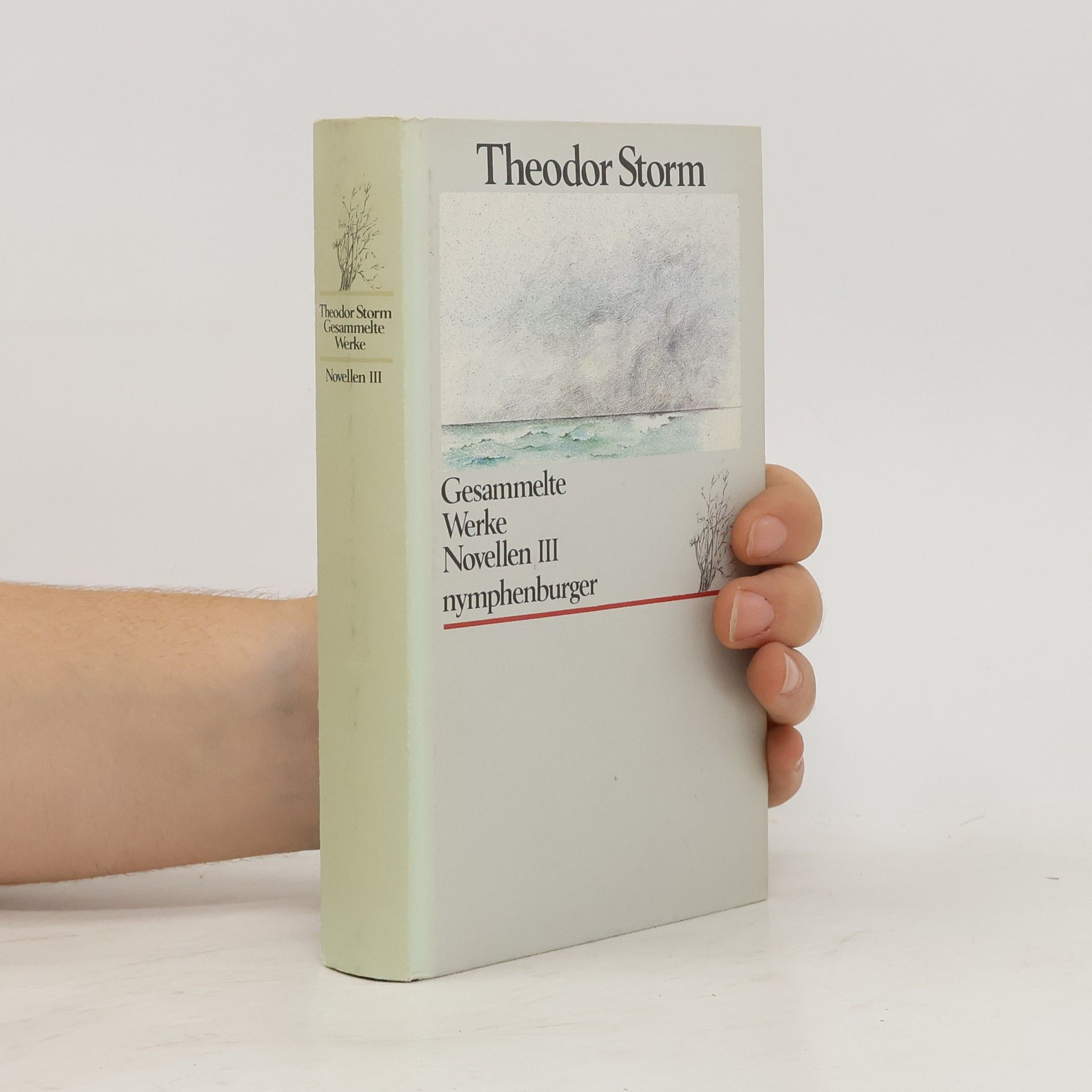 Theodor Storm Gesammelte Werke: Novellen III