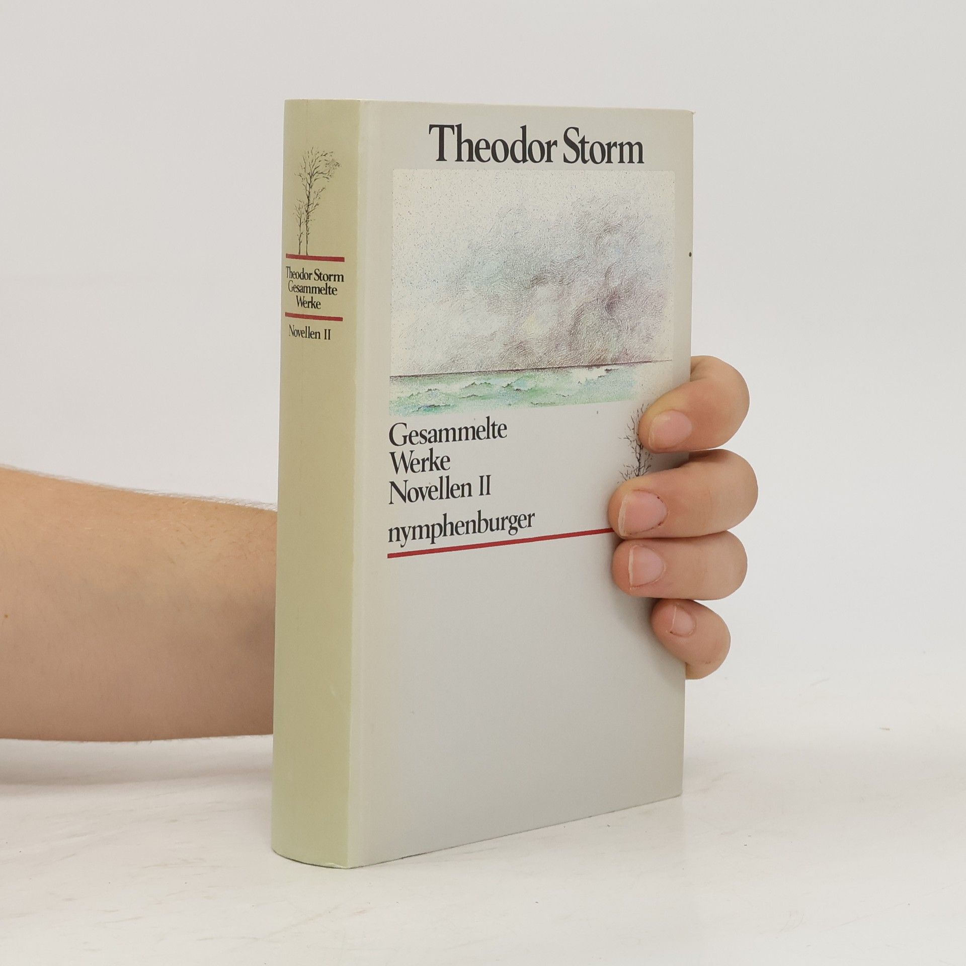Theodor Storm Gesammelte Werke Novellen II
