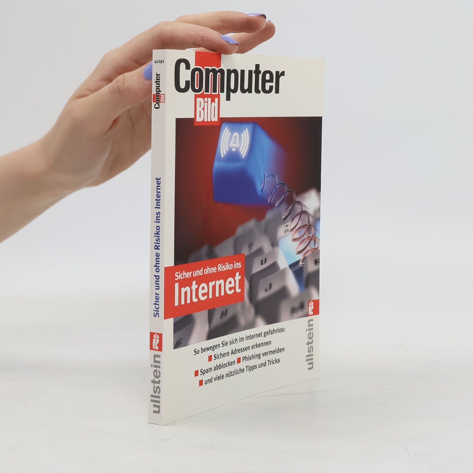 Prinz Sicher und ohne Risiko ins Internet