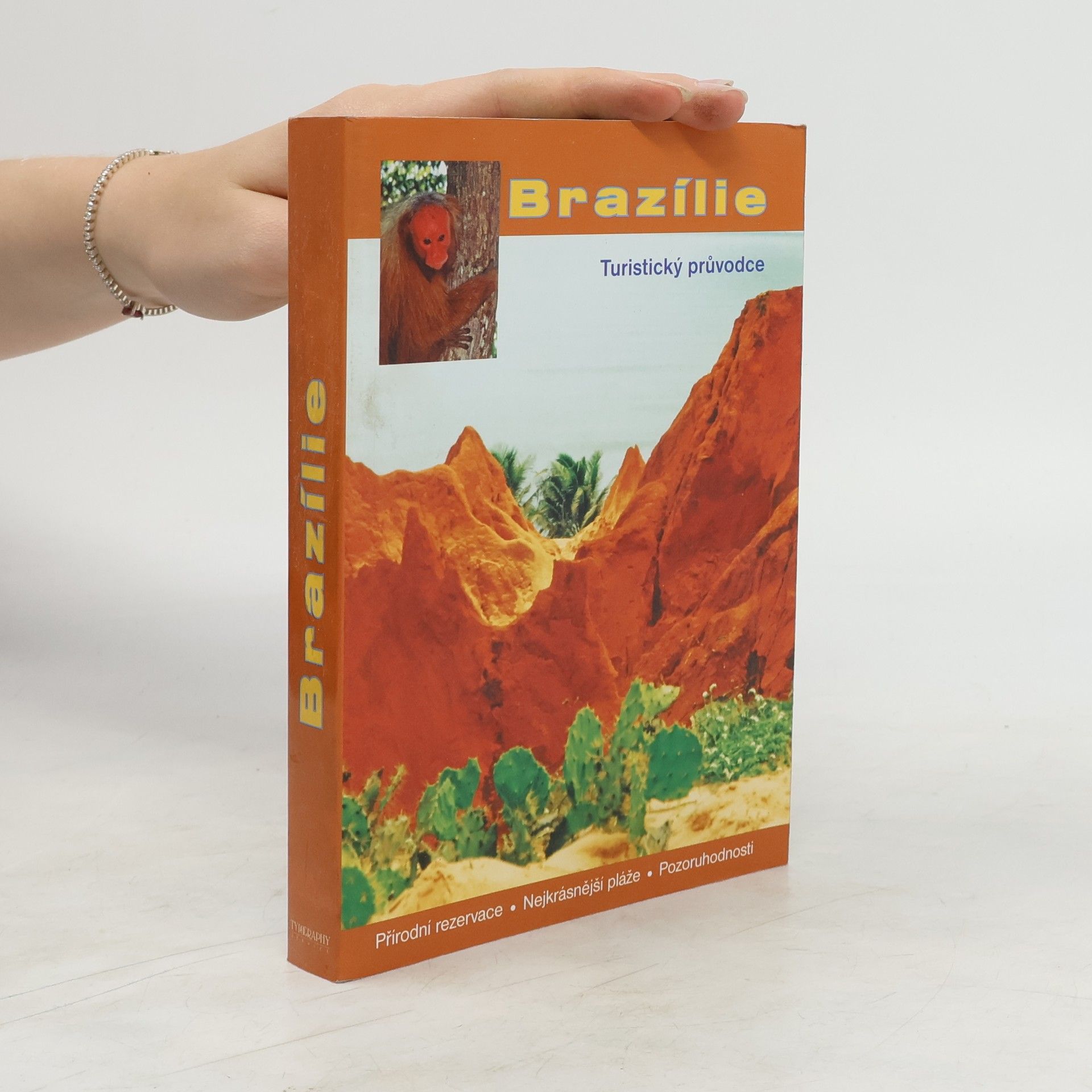 kolektiv Brazílie