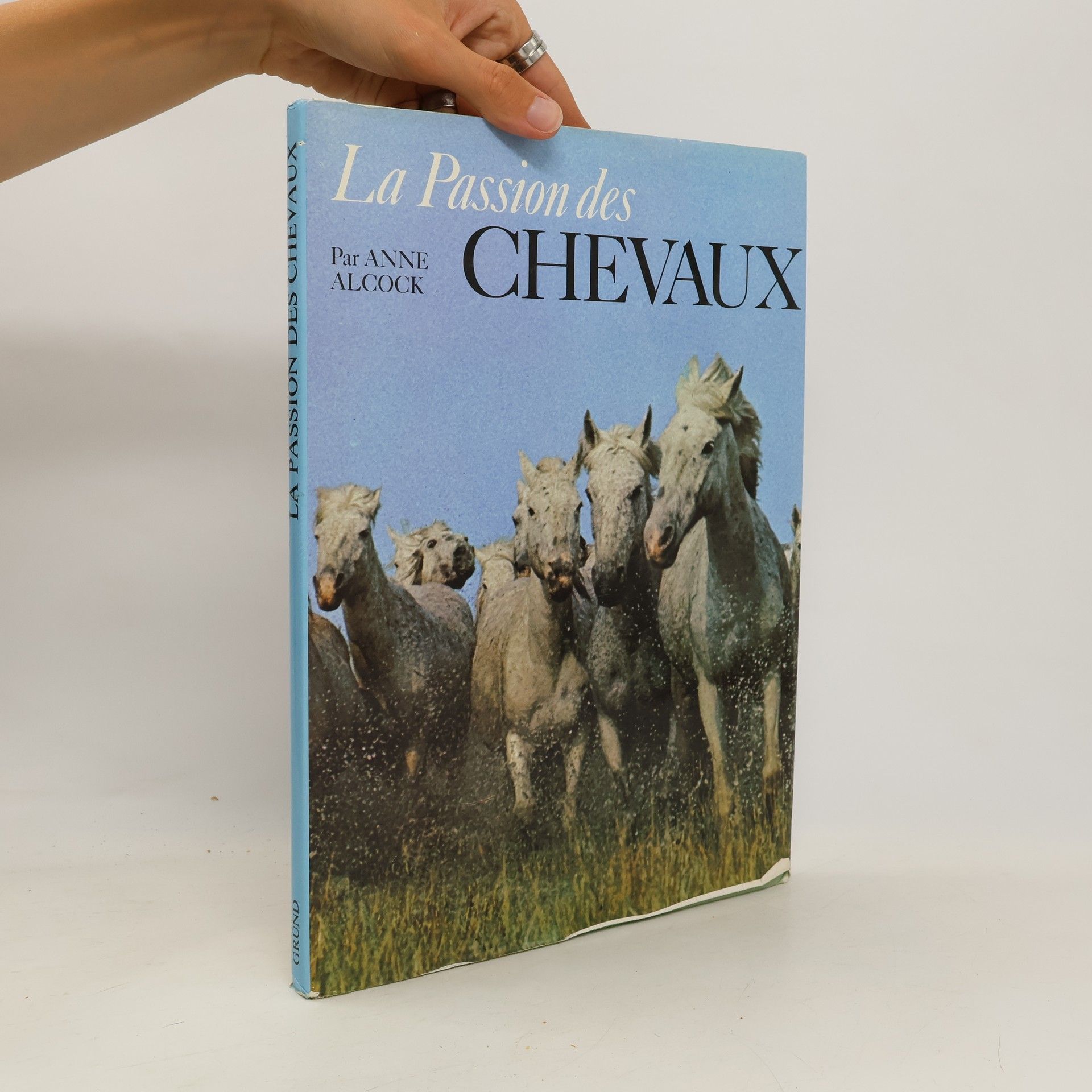 Anne Alcock La Passion des Chevaux