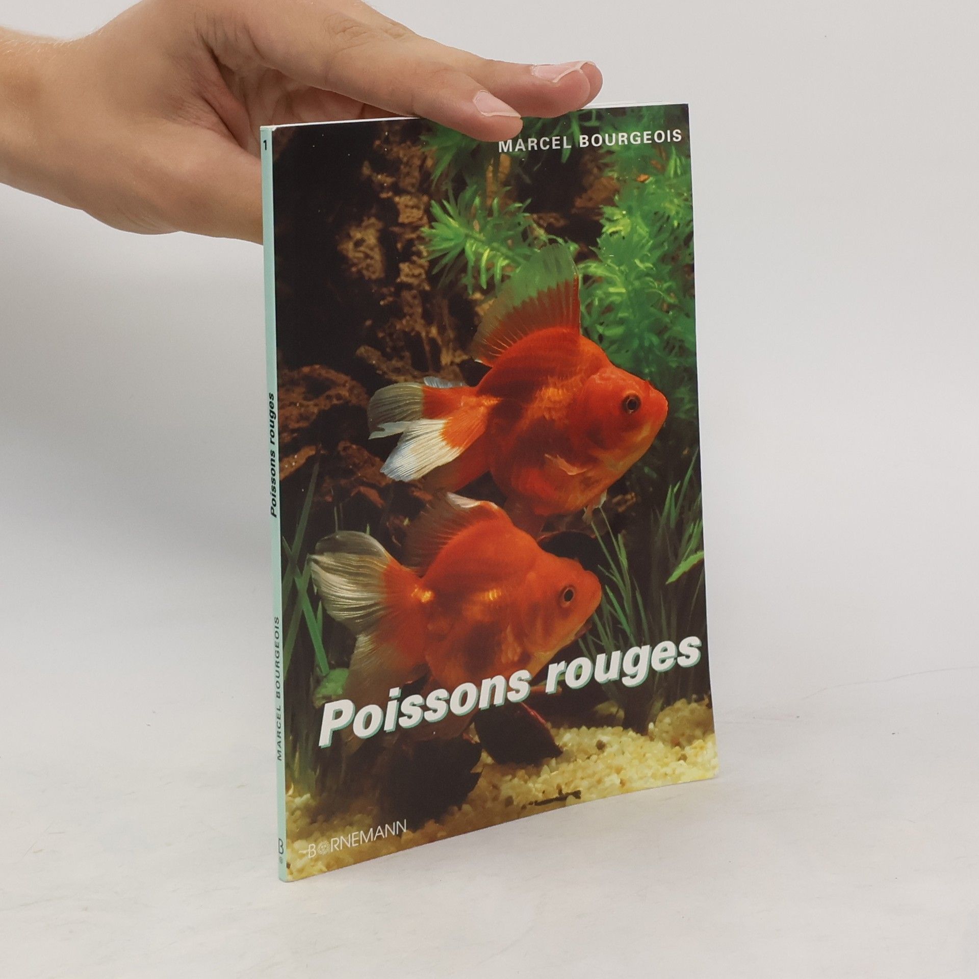 Marcel Bougeois Poissons rouges