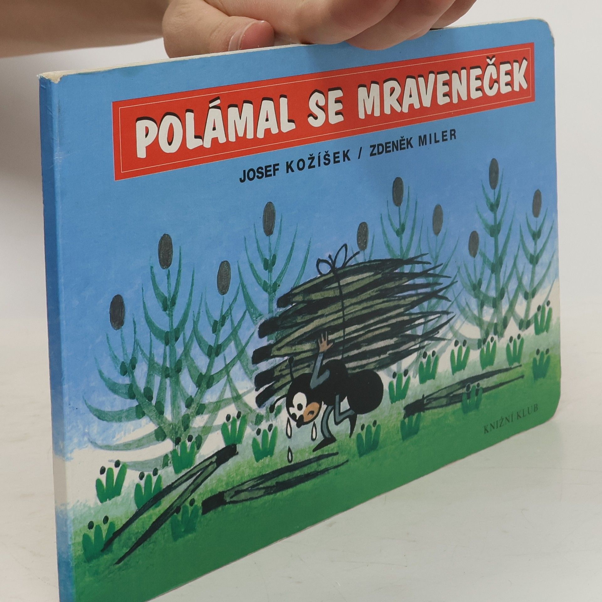 Polámal se mraveneček