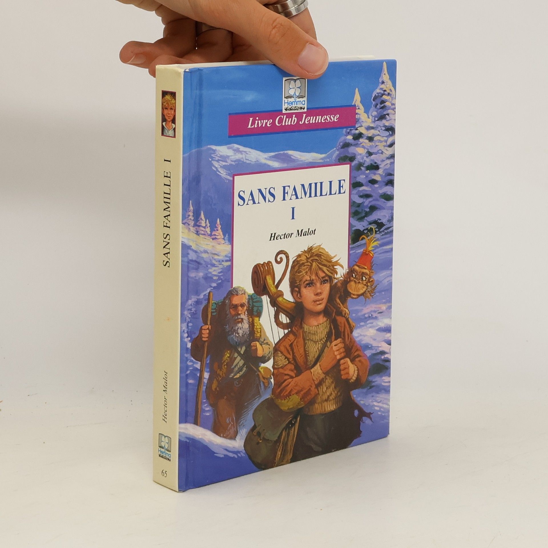 Marcel de Laverdet Sans Famille I. Tome 1, L'apprentissage de la vie, d'après Hector Malot