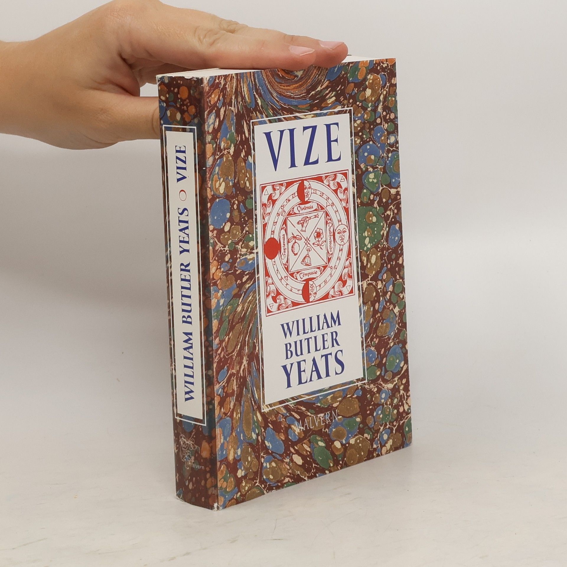 W. B. Yeats Vize
