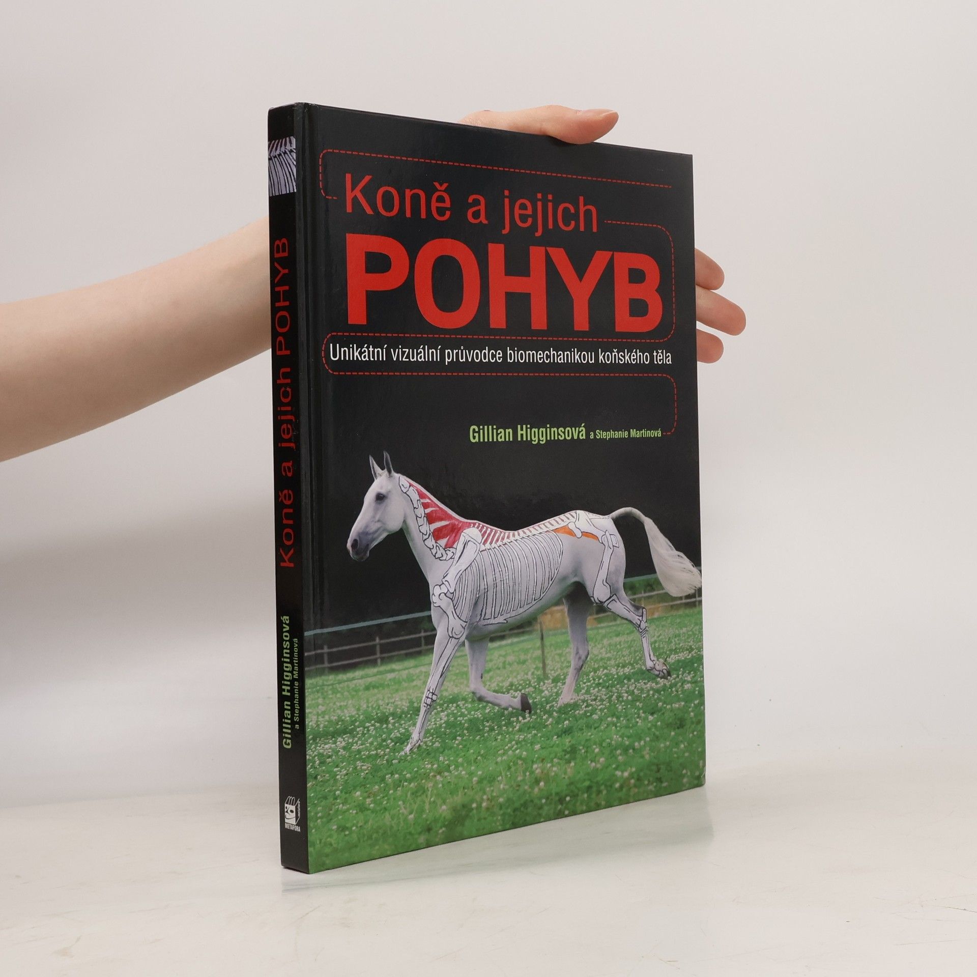 Gillian Higgins Koně a jejich pohyb