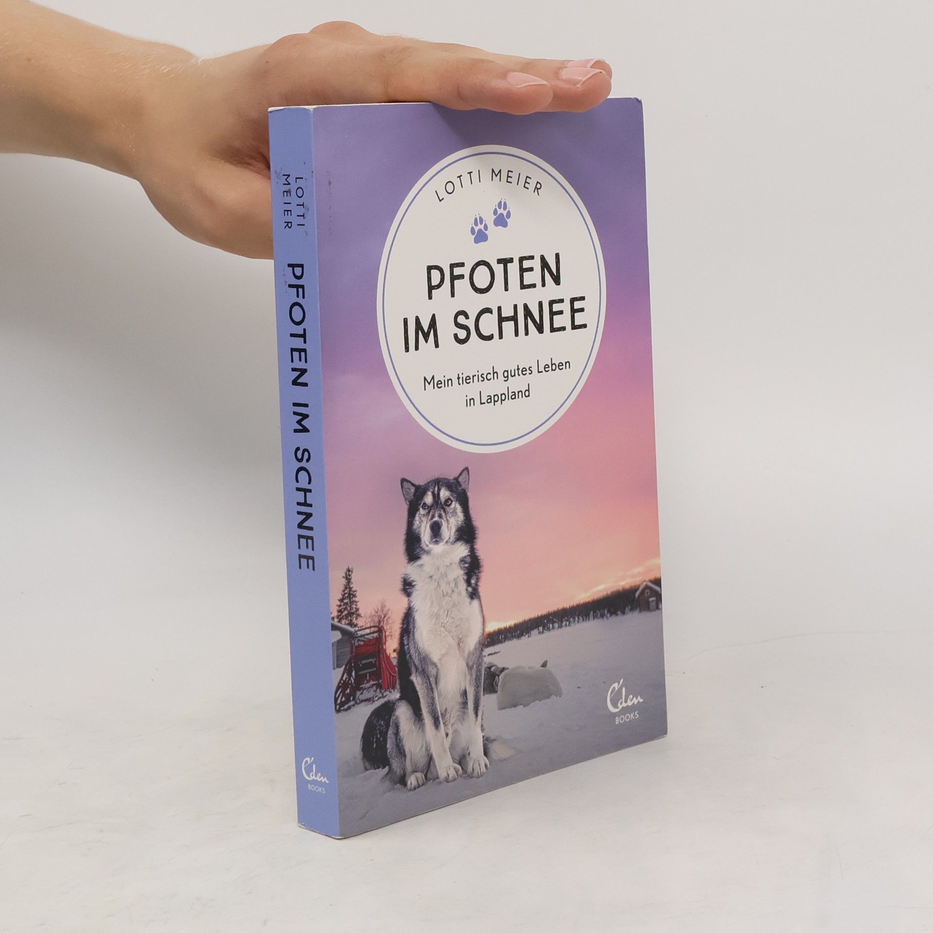 Lotti Meier Pfoten im Schnee
