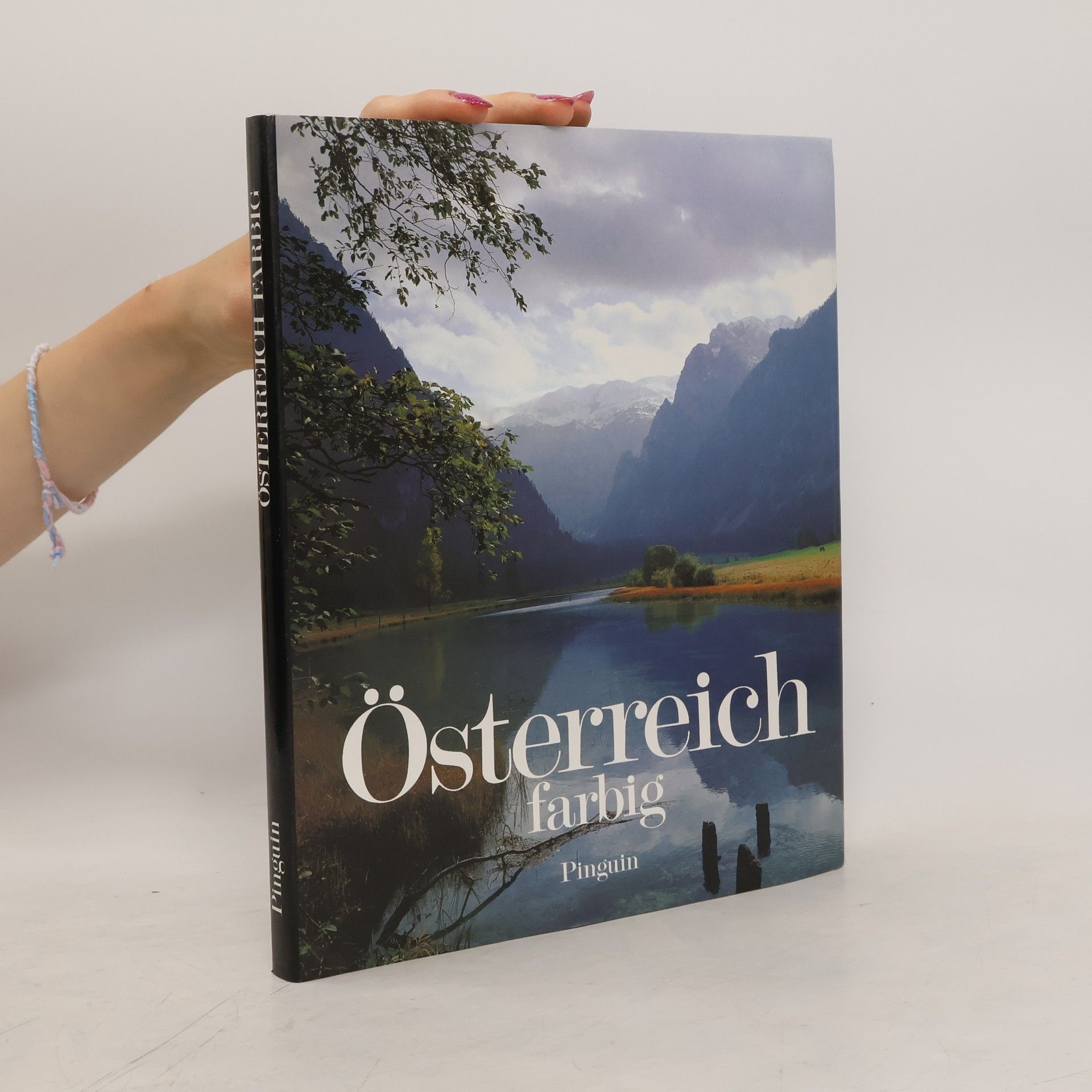 Heinz Schiebenpflug Österreich farbig