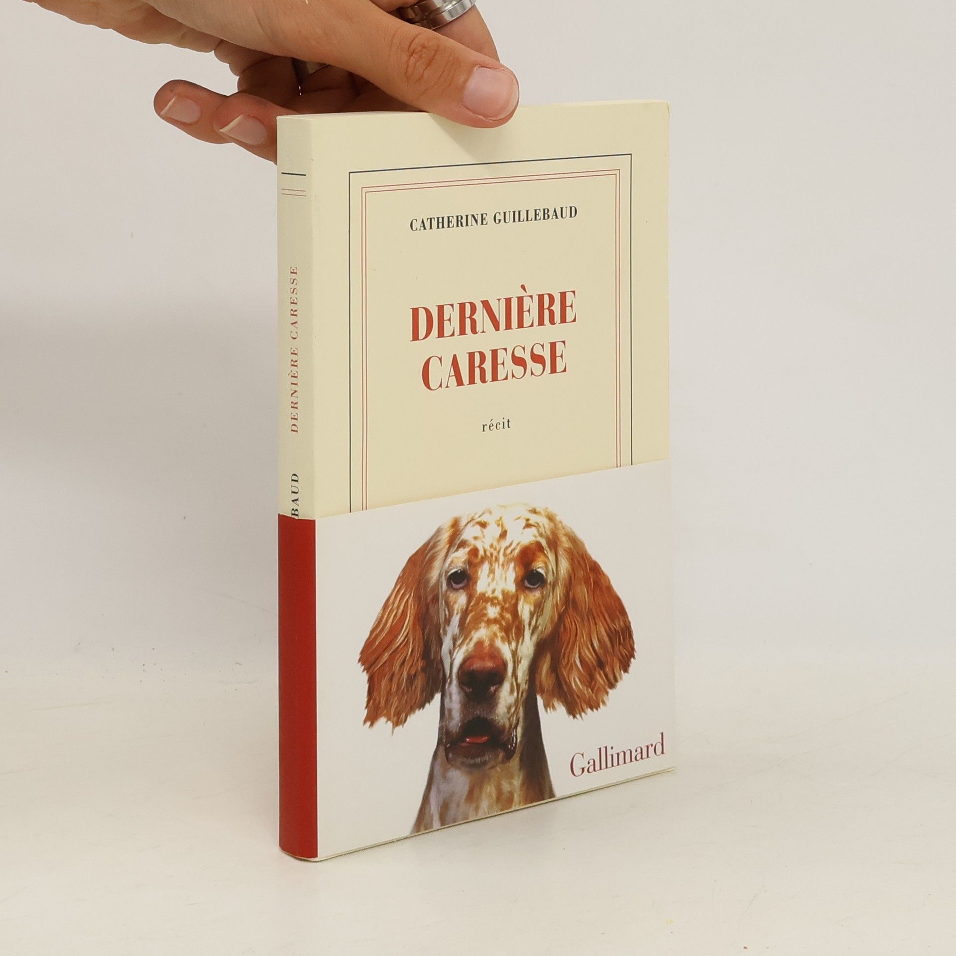 Catherine Guillebaud Dernière caresse