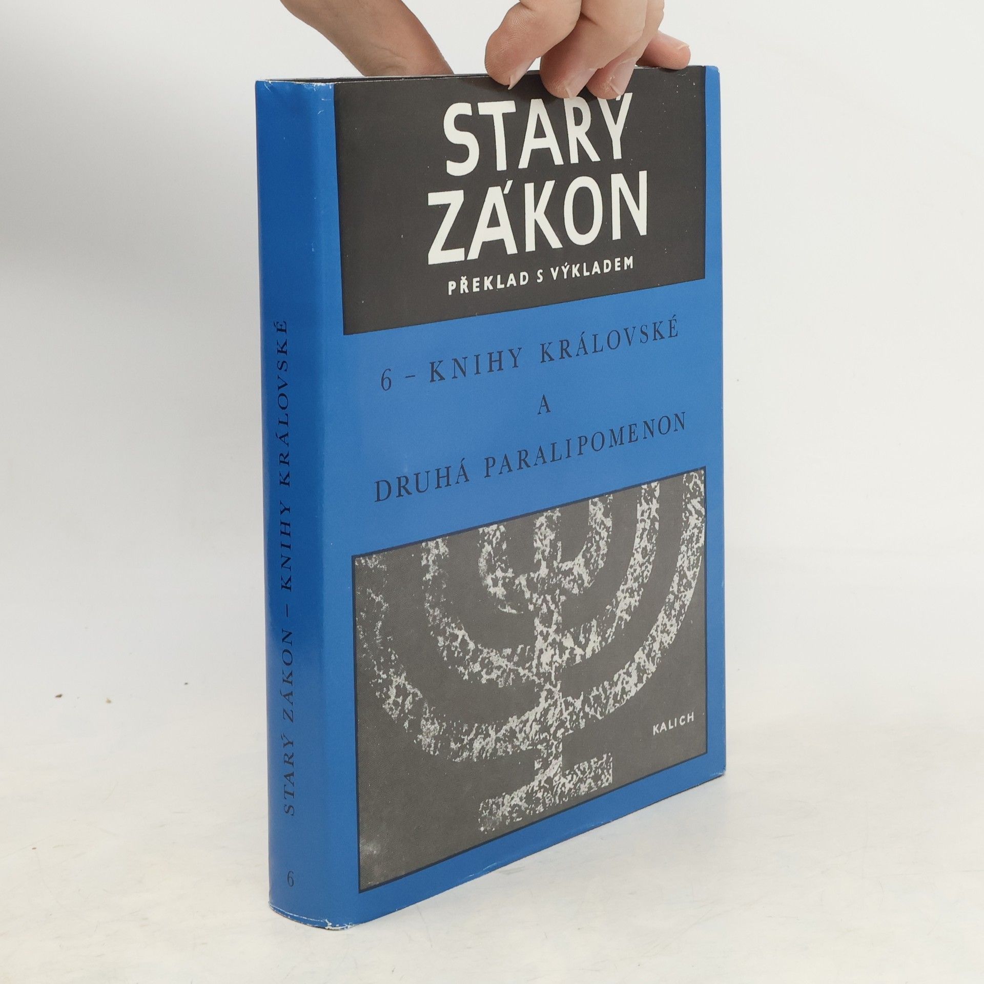 Autores varios Starý zákon 6. Knihy královské a druhá Paralipomenon