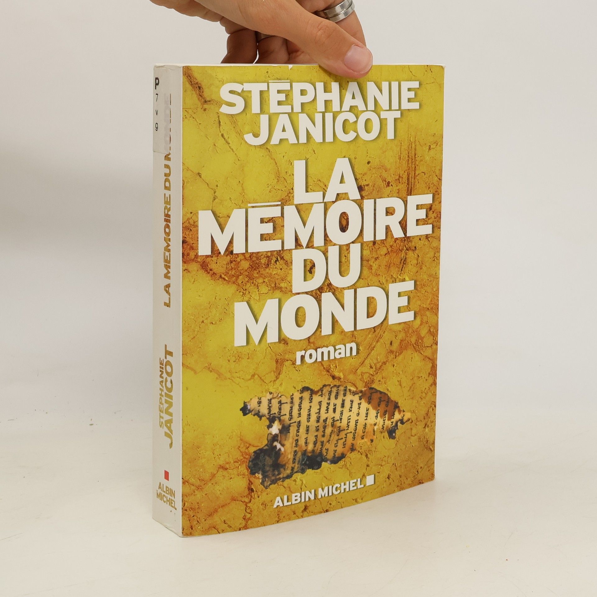 Stéphanie Janicot La mémoire du monde