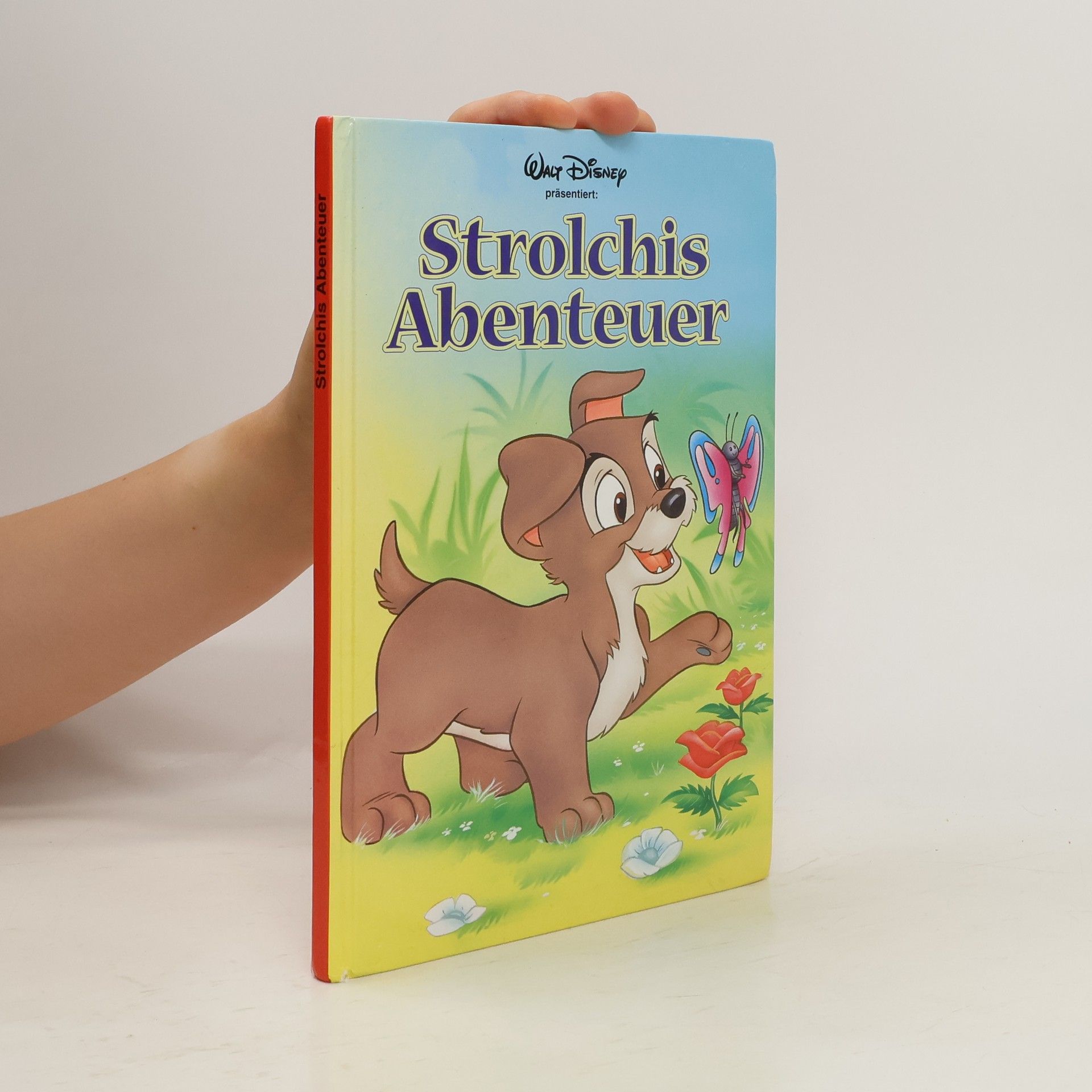 Autorenkollektiv Strolchis Abenteuer