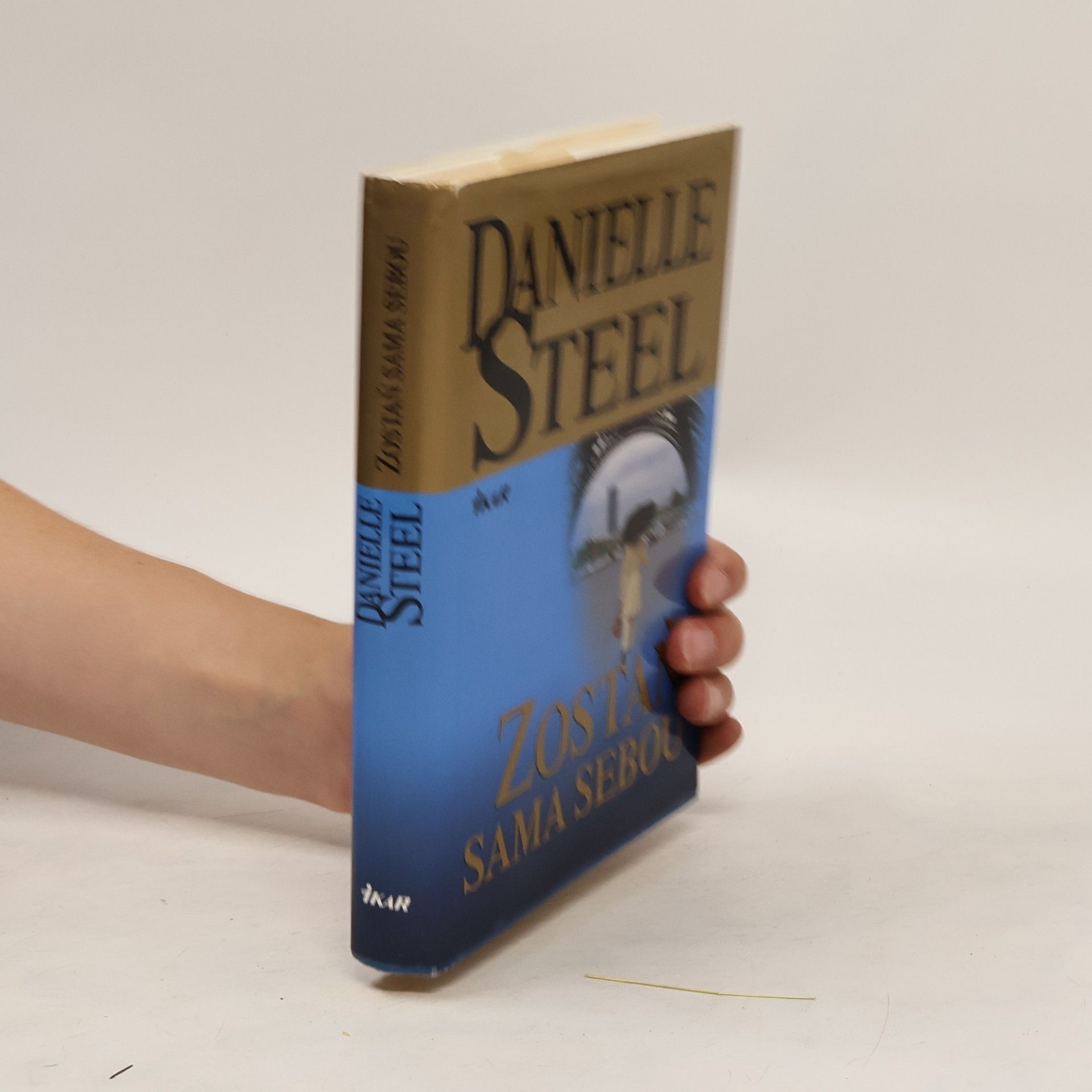 Danielle Steel Zostaň sama sebou