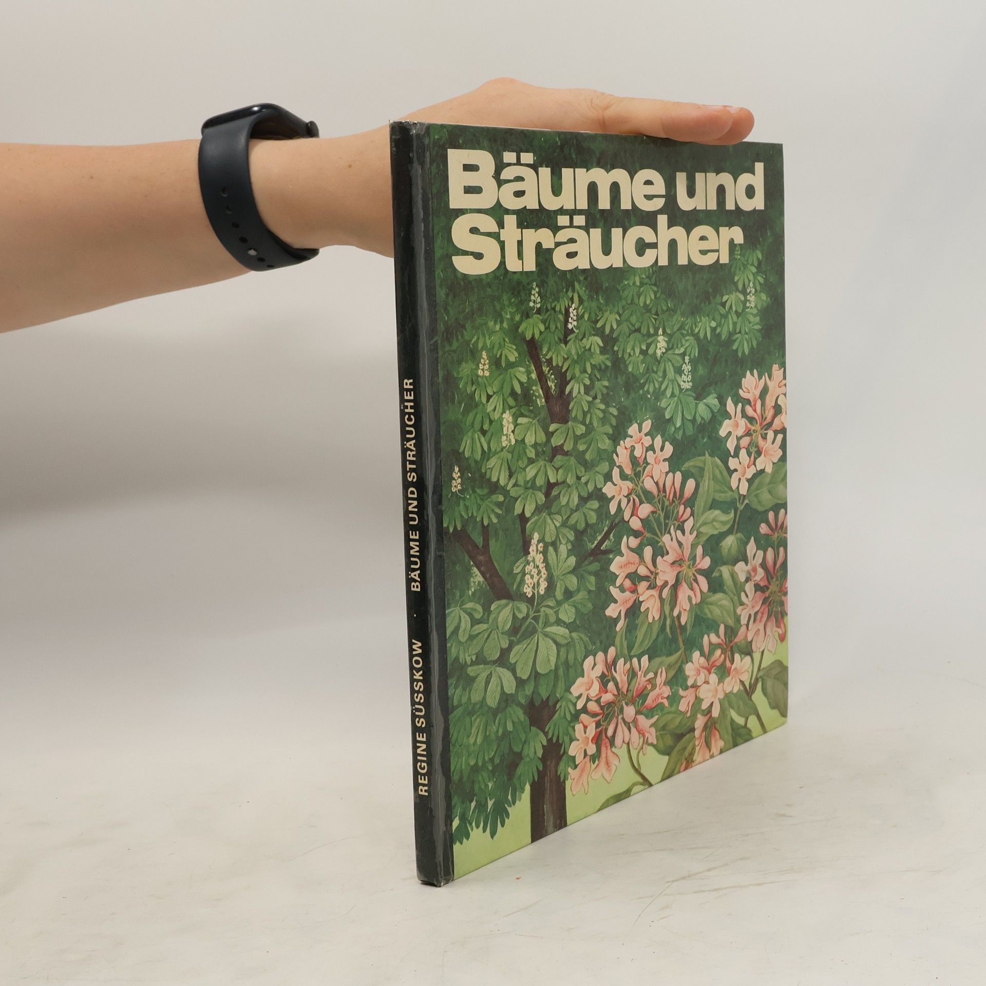 Regine Süsskow Bäume und Sträucher