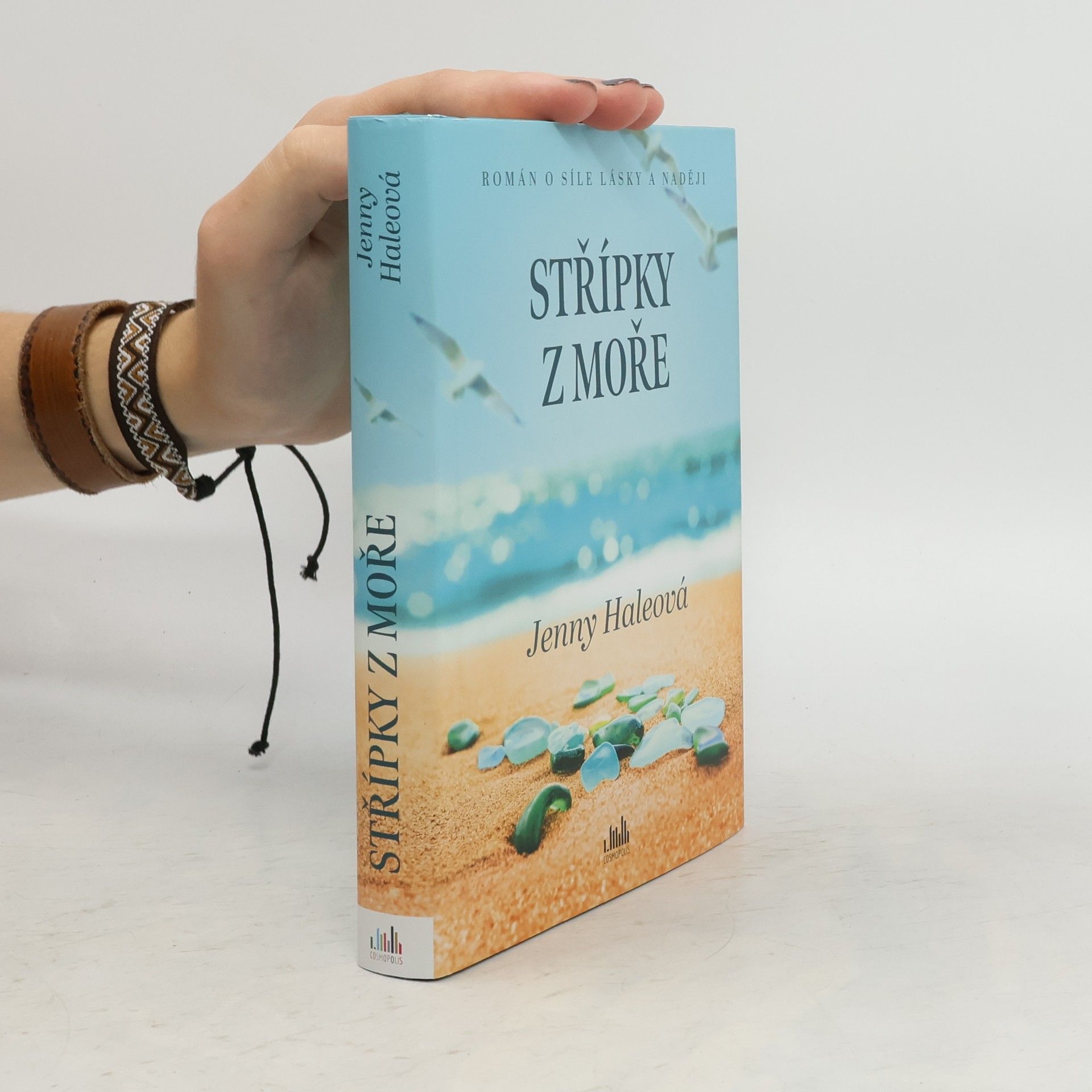 Jenny Hale Střípky z moře