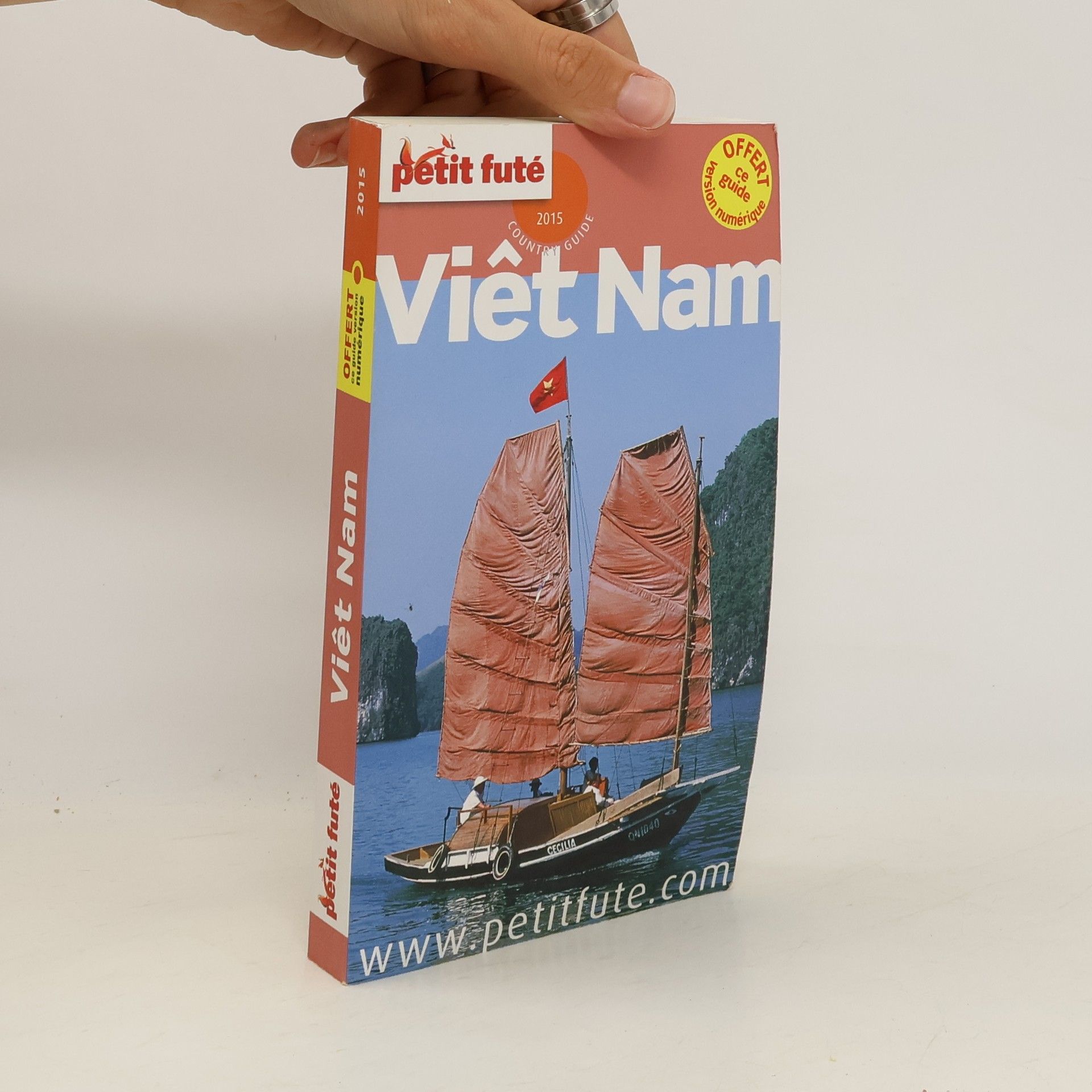Dominique Auzias Vietnam