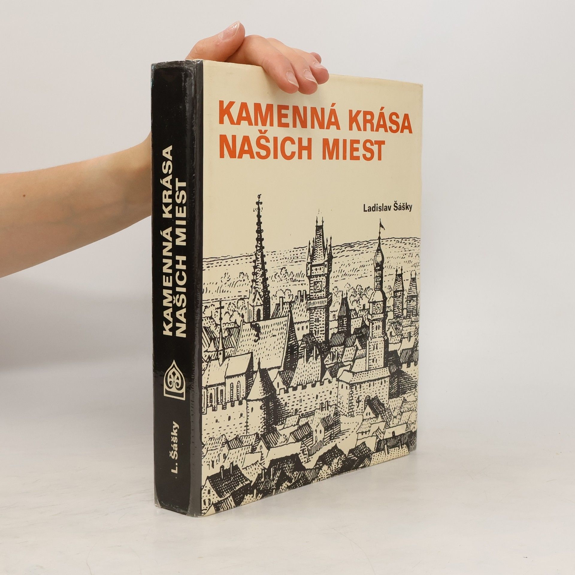 Ladislav Šášky Kamenná krása našich miest
