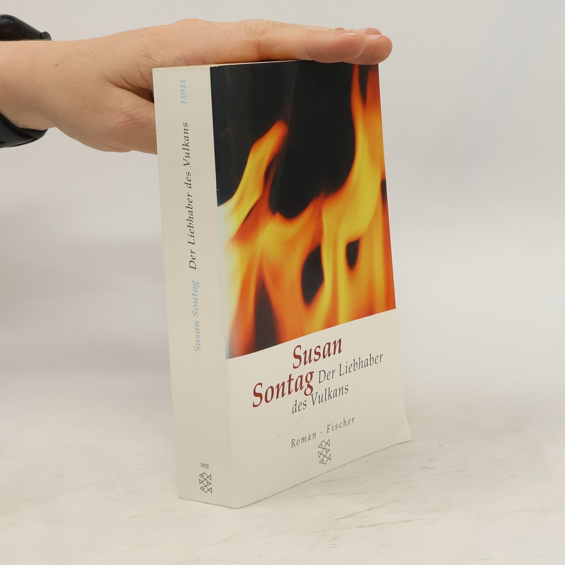 Susan Sontag Der Liebhaber des Vulkans
