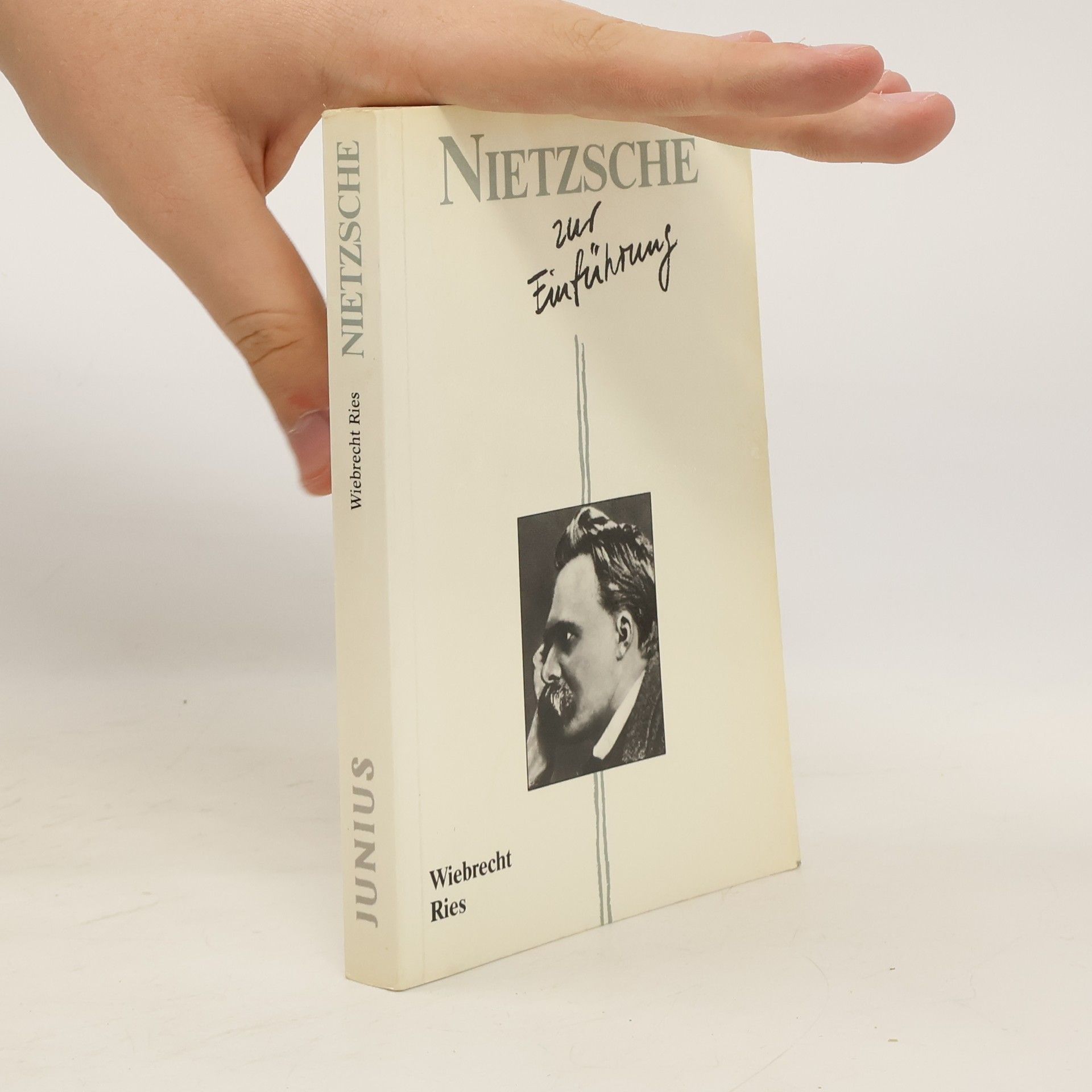 Wiebrecht Ries Nietzsche zur Einführung