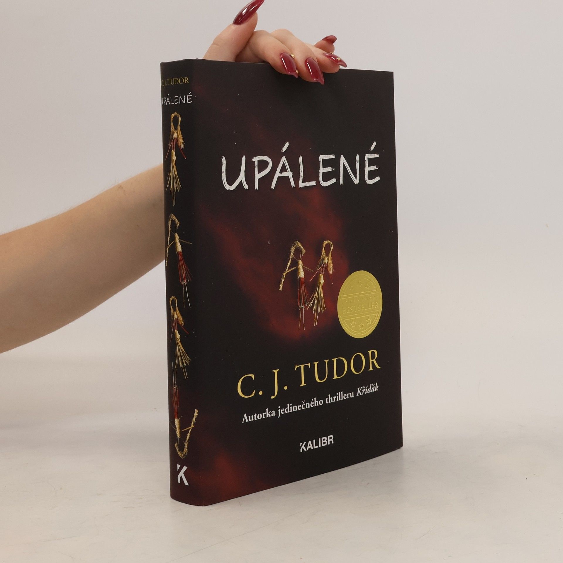 C.J. Tudor Upálené