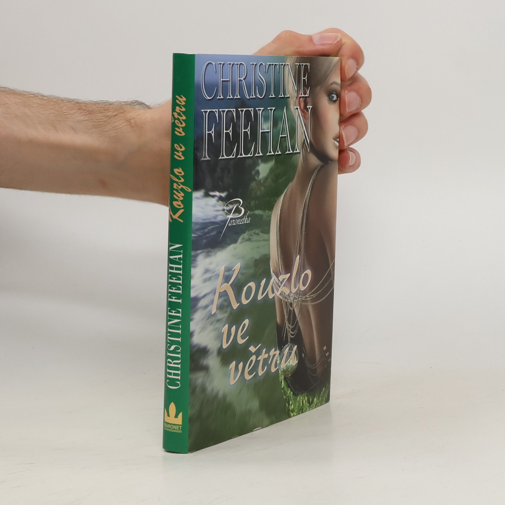 Christine Feehan Kouzlo ve větru