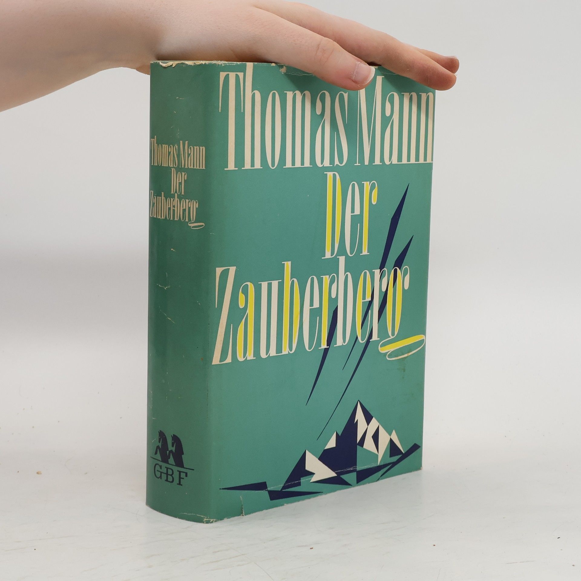 Klaus Mann Der Zauberberg