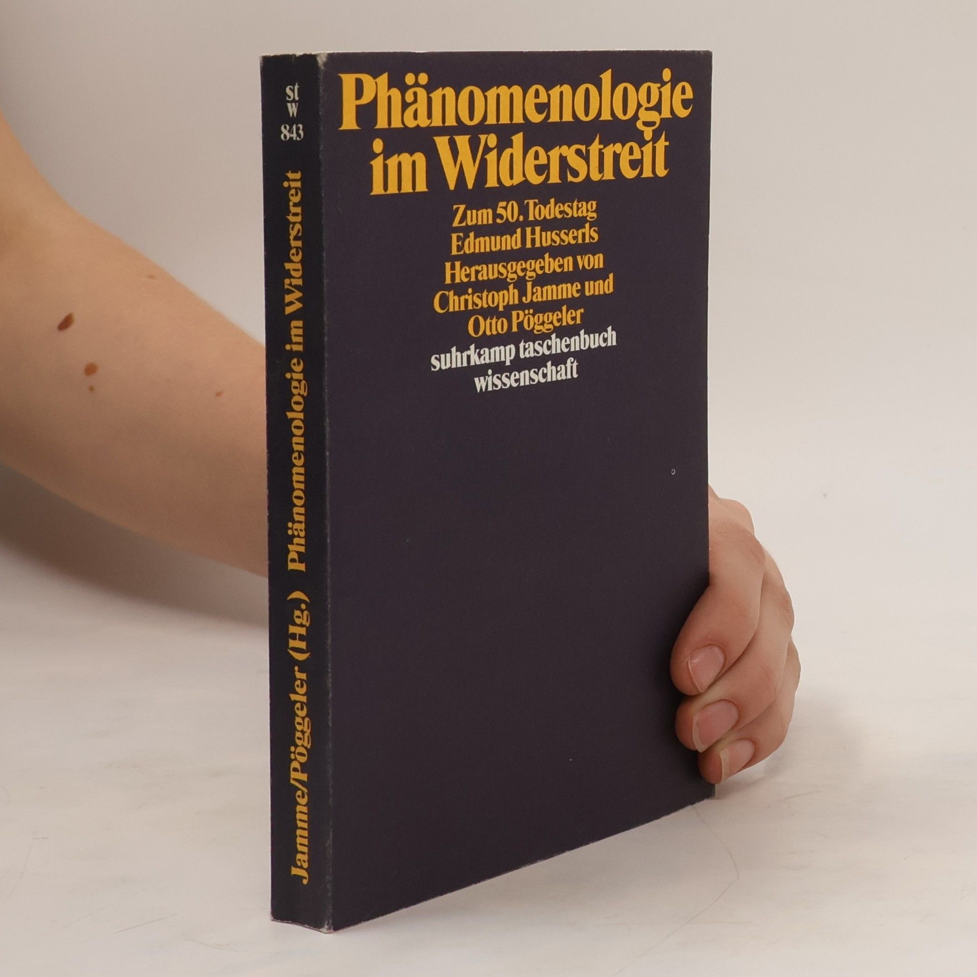Christoph Jamme Phänomenologie im Widerstreit