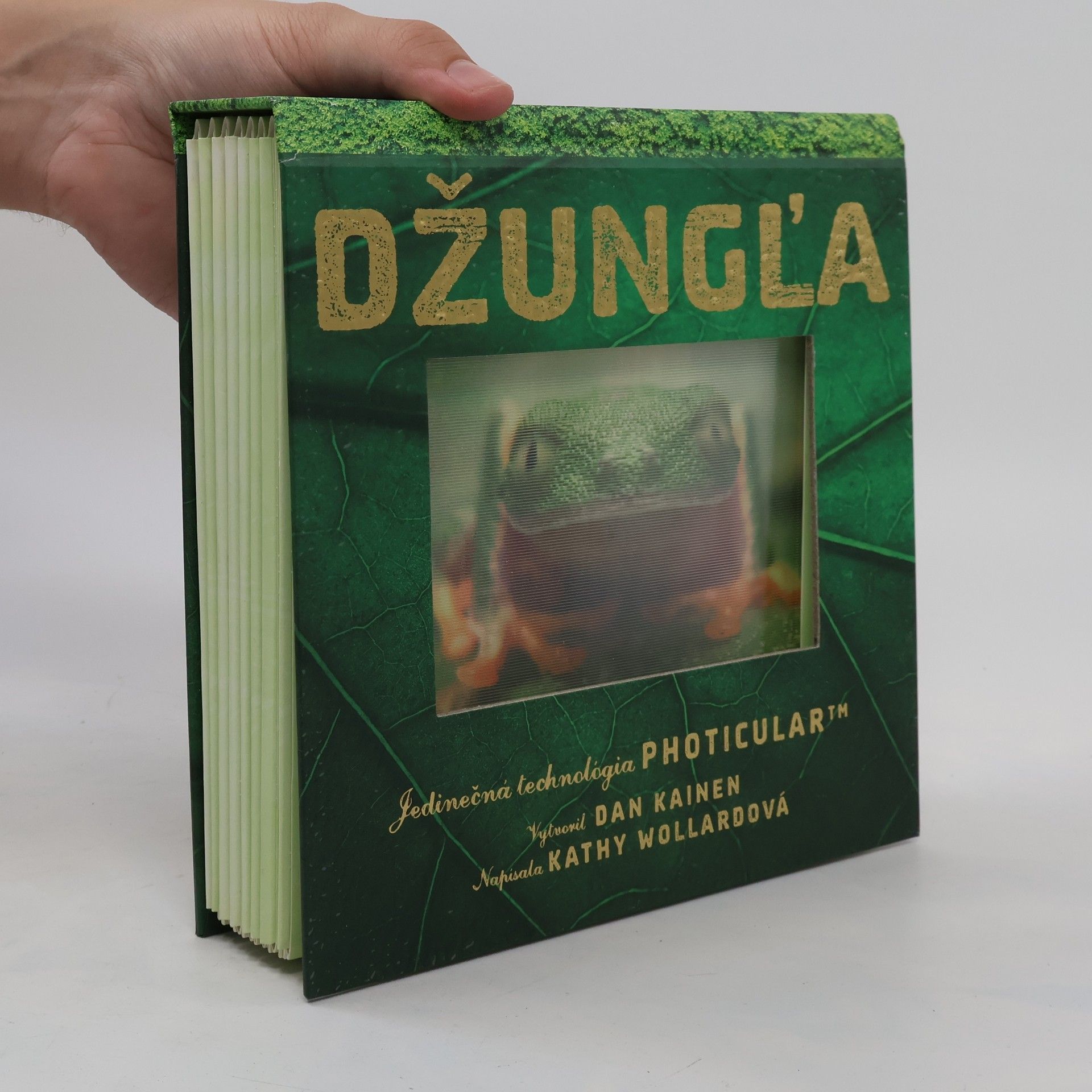 Dan Kainen Džungľa