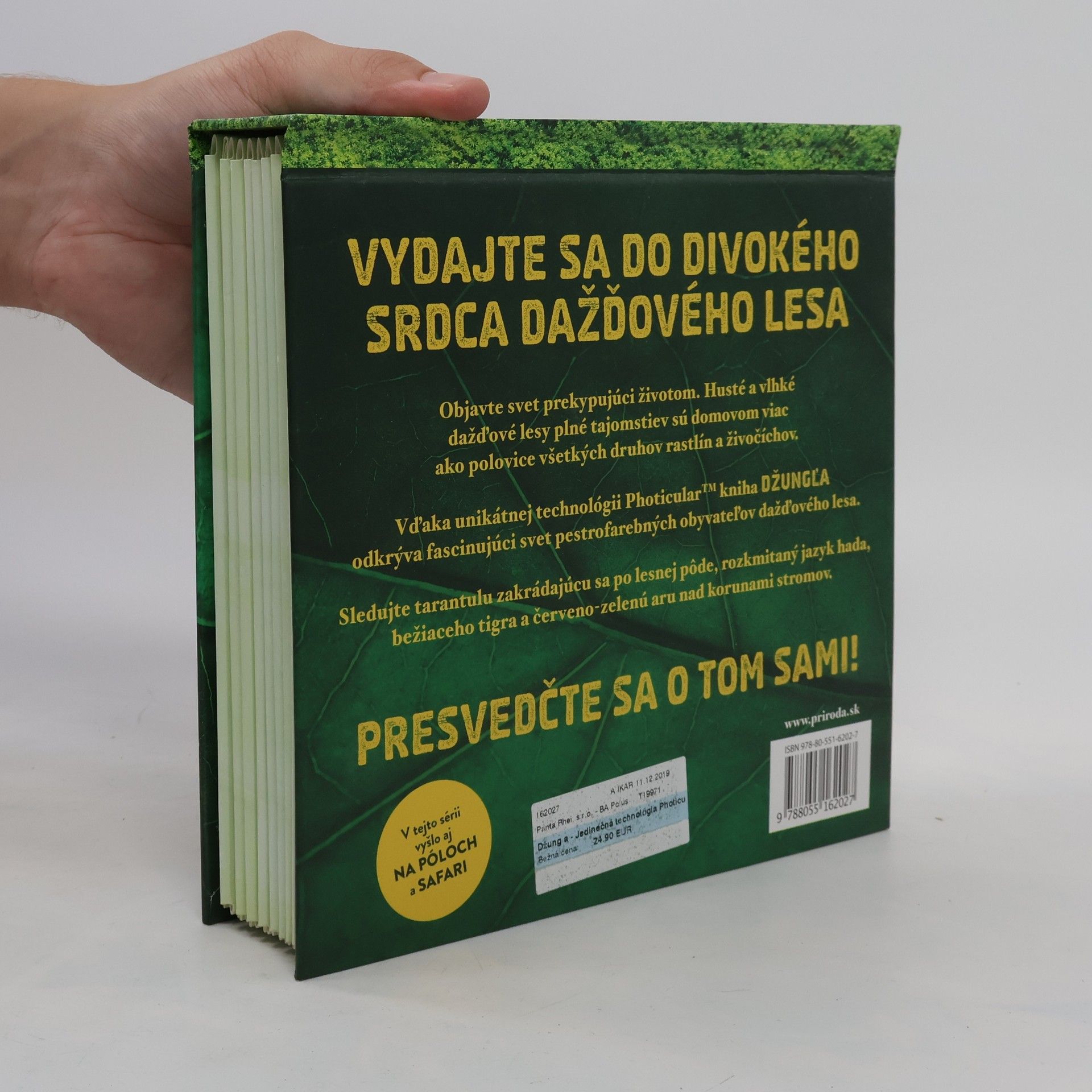 Dan Kainen Džungľa
