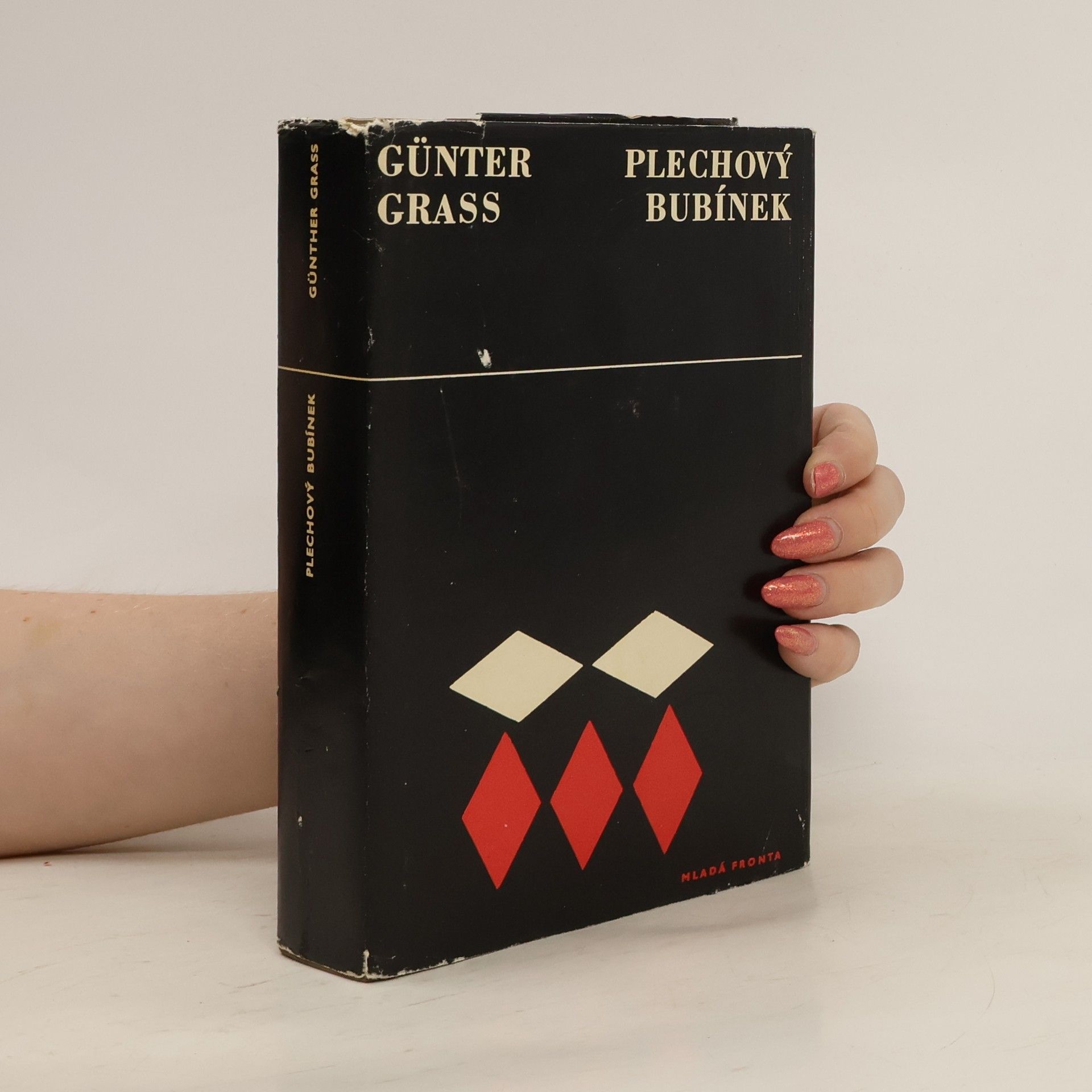 Günter Grass Plechový bubínek