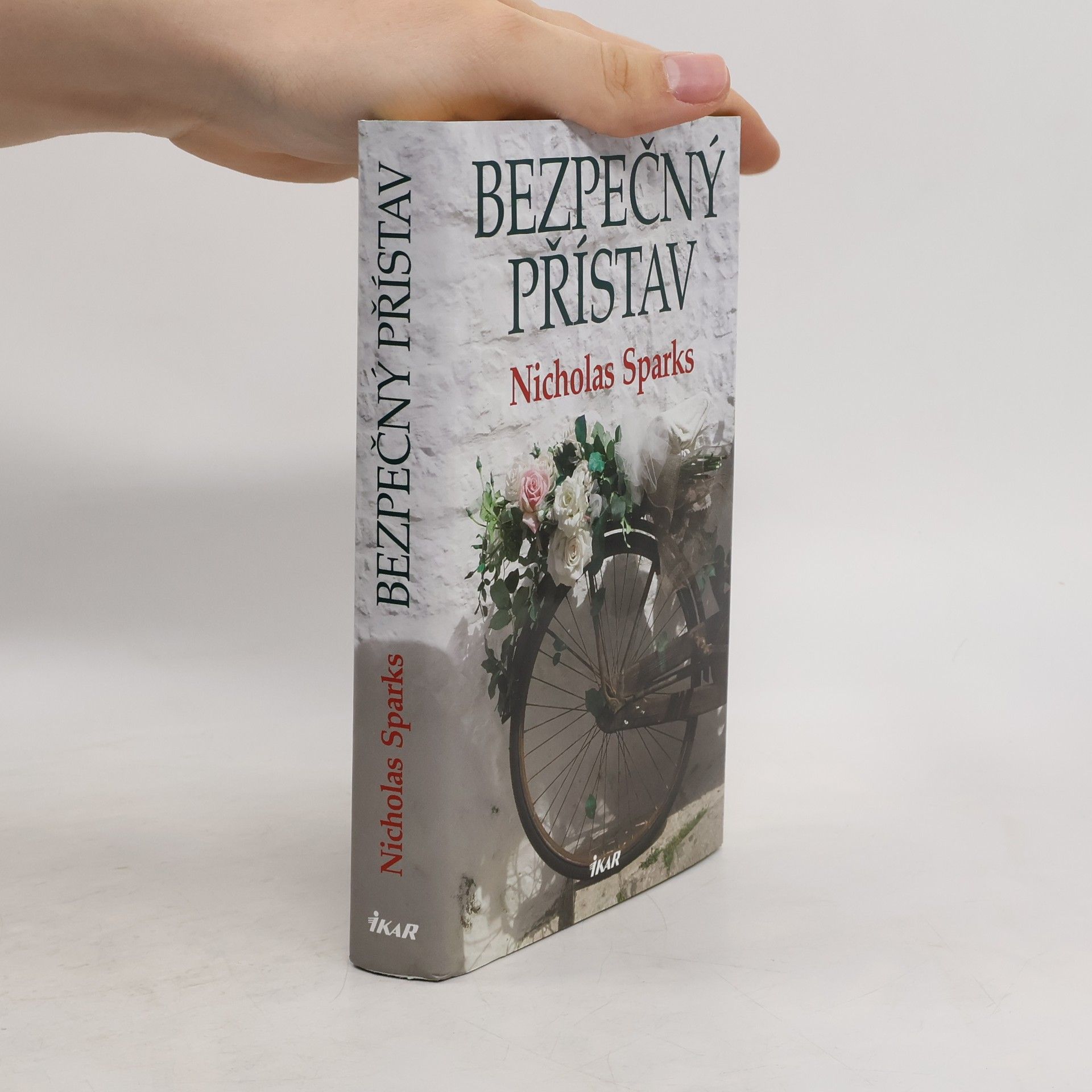 Nicholas Sparks Bezpečný přístav