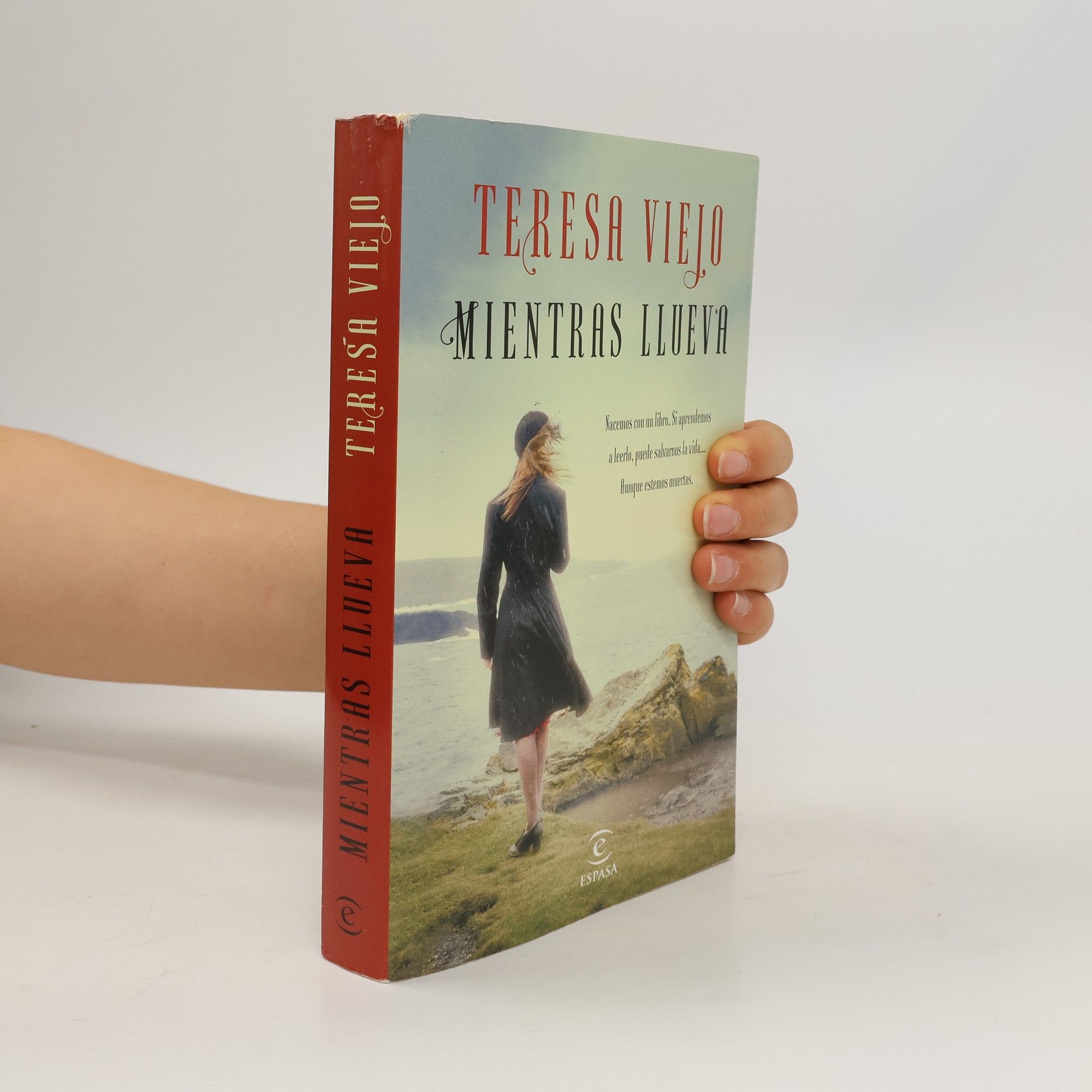 Teresa Viejo Mientras llueva
