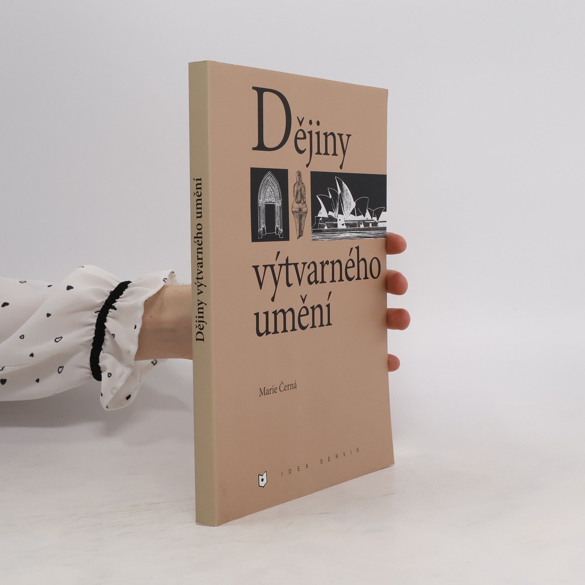 Marie Černá Dějiny výtvarného umění
