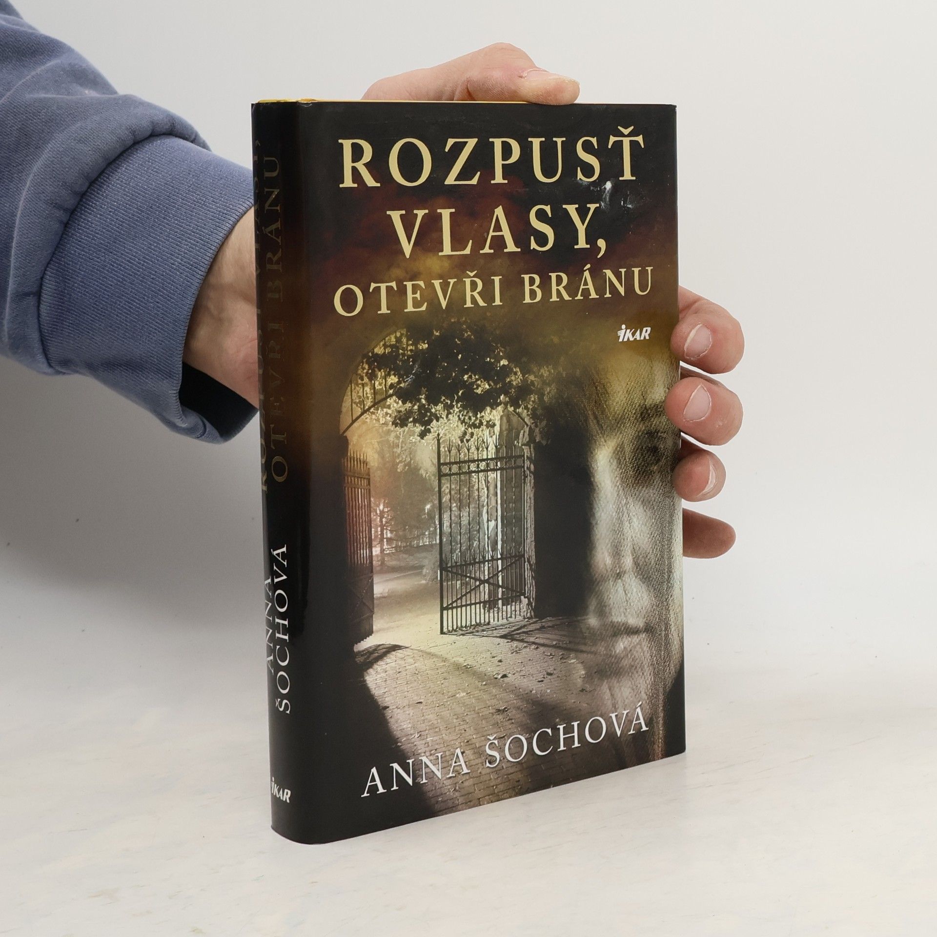 Anna Šochová Rozpusť vlasy, otevři bránu
