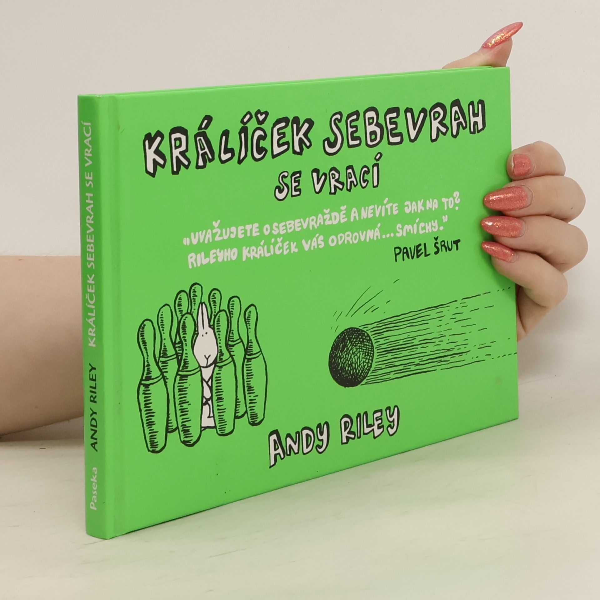 Andy Riley Králíček sebevrah se vrací