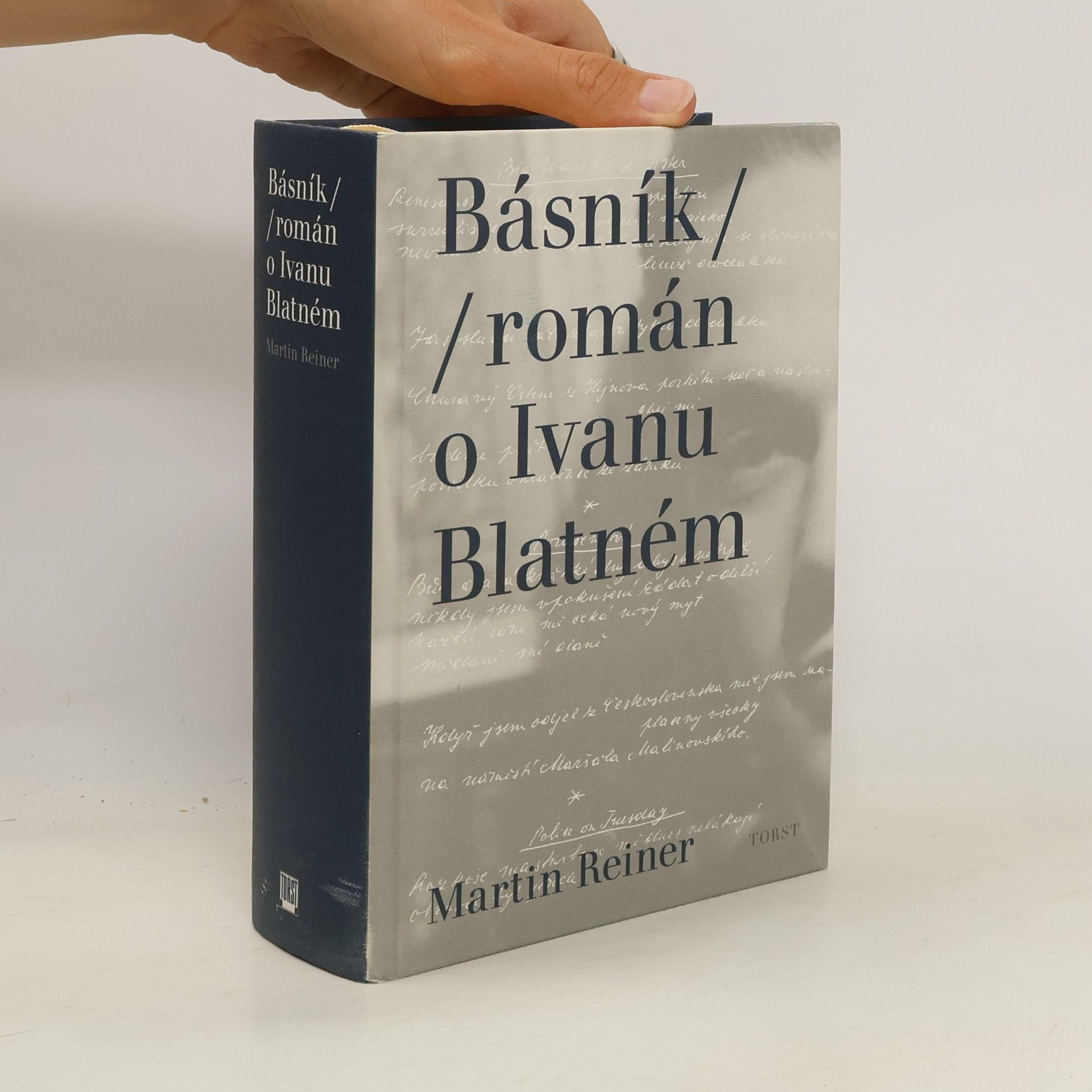 Martin Reiner Básník. Román o Ivanu Blatném