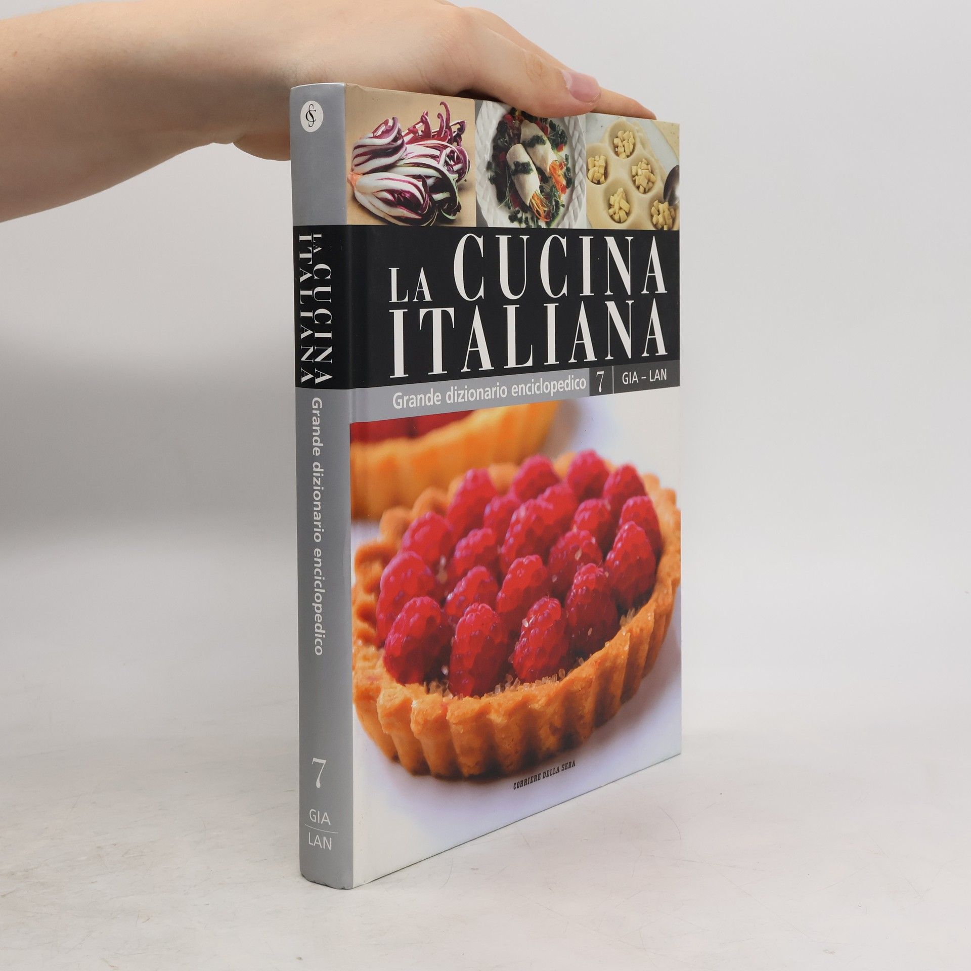 kolektiv Grande dizionario enciclopedico 7. La cucina Italiana