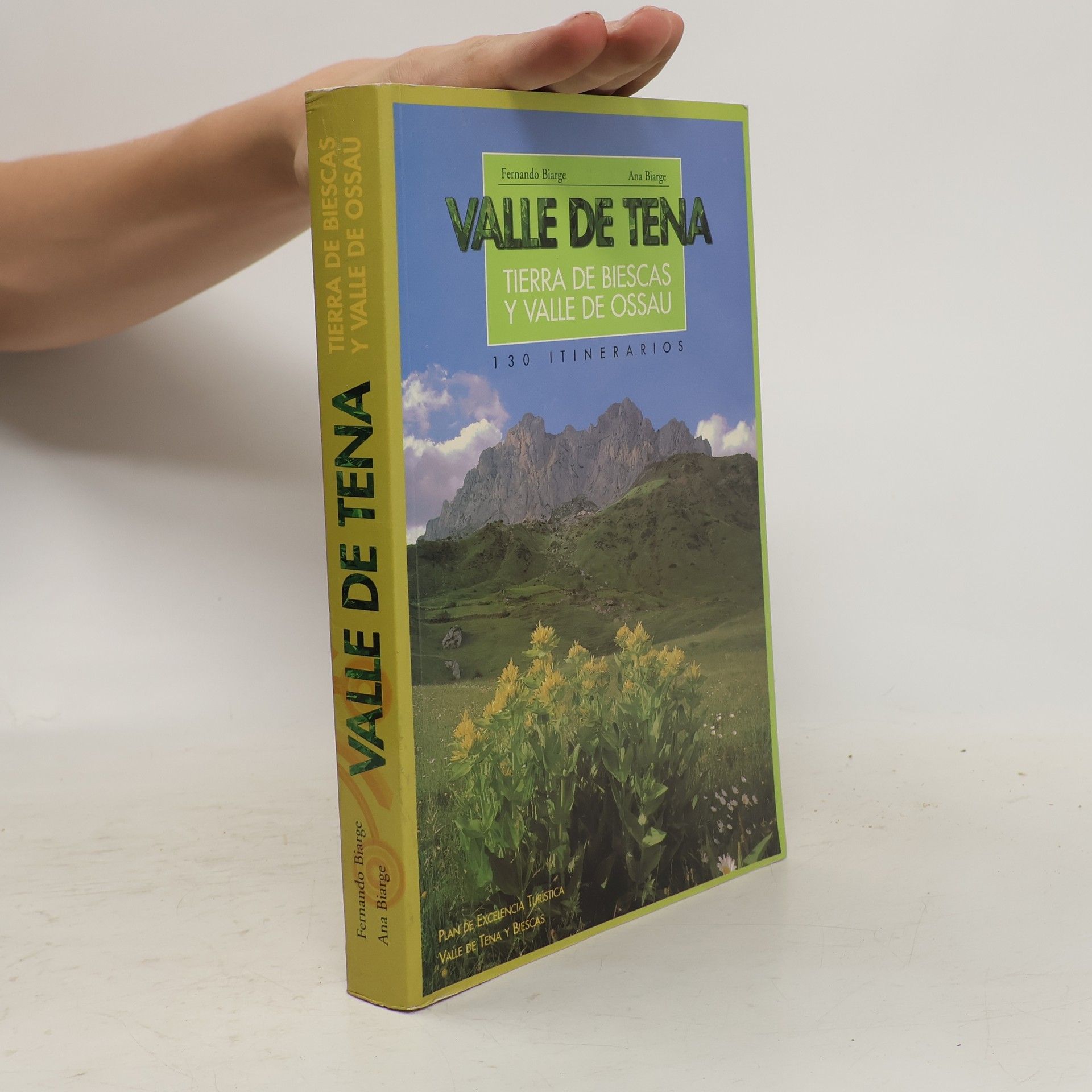 Fernando Biarge Valle de Tena