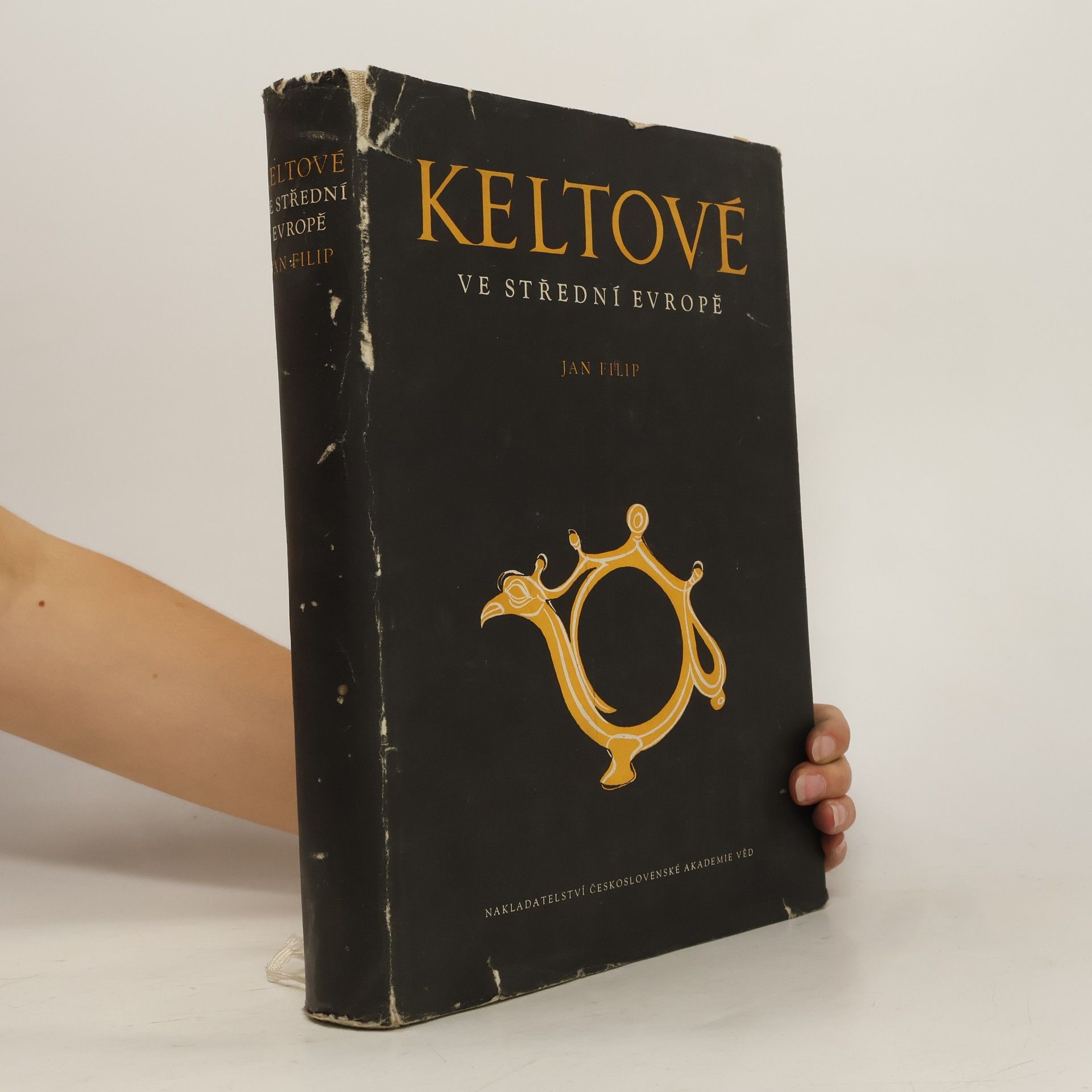 Jan Filip Keltové ve střední Evropě